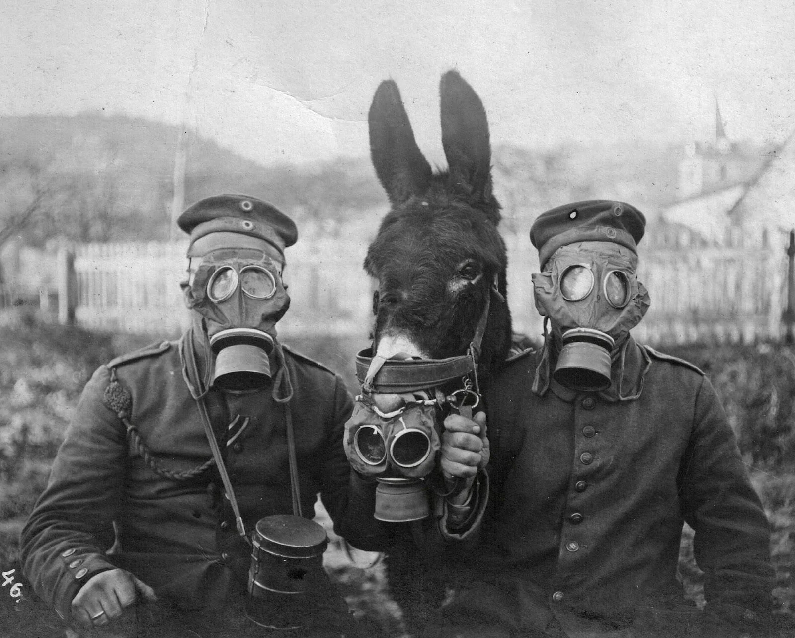 Two German soldiers, a donkey, and their gas-masks. 1917