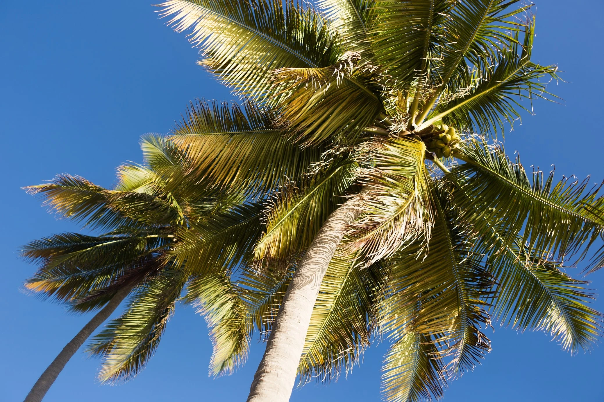 virgin islands 2015_0018.jpg