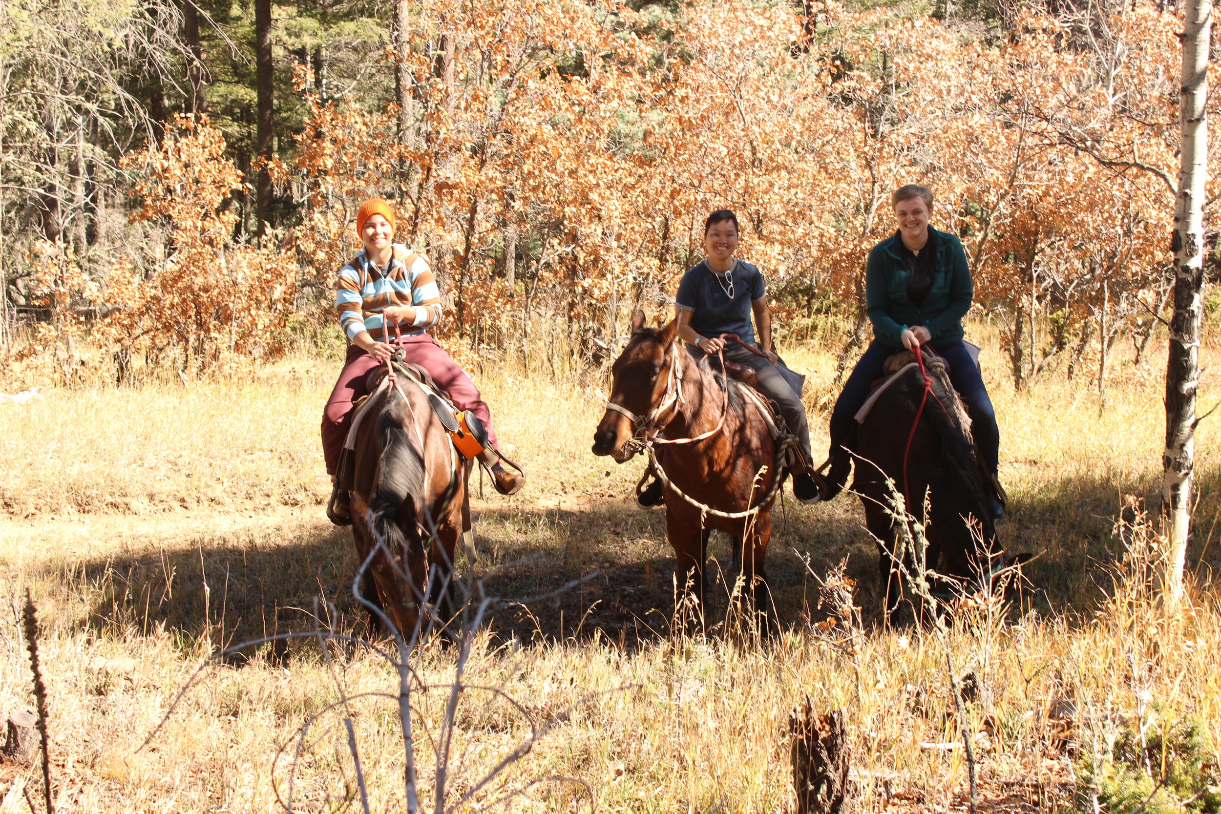 A Return to the Land of Enchantment: Angel Fire, NM