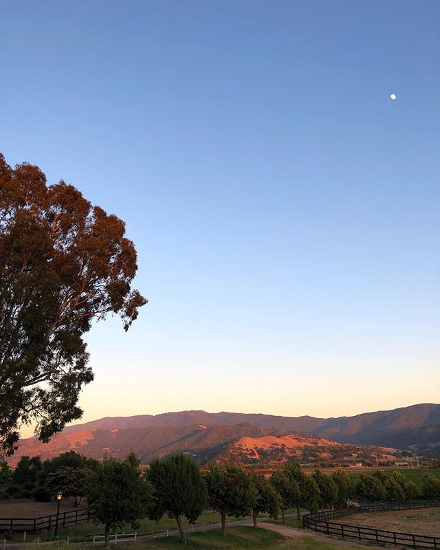 #ingoodFORM: beautiful #outtakes and extras from an epic photo shoot with the magnificently talented @brittanyambridge for our #SantaYnez #midcentury inspired #ranch project. This project is a stunner. #Moresoon #staytuned . . . 📸 by @brittanyambr