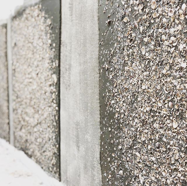 #ingoodFORM: initial testing for a custom shell-aggregate-stucco for a landscape feature wall in Miami. We think we have a winner!
