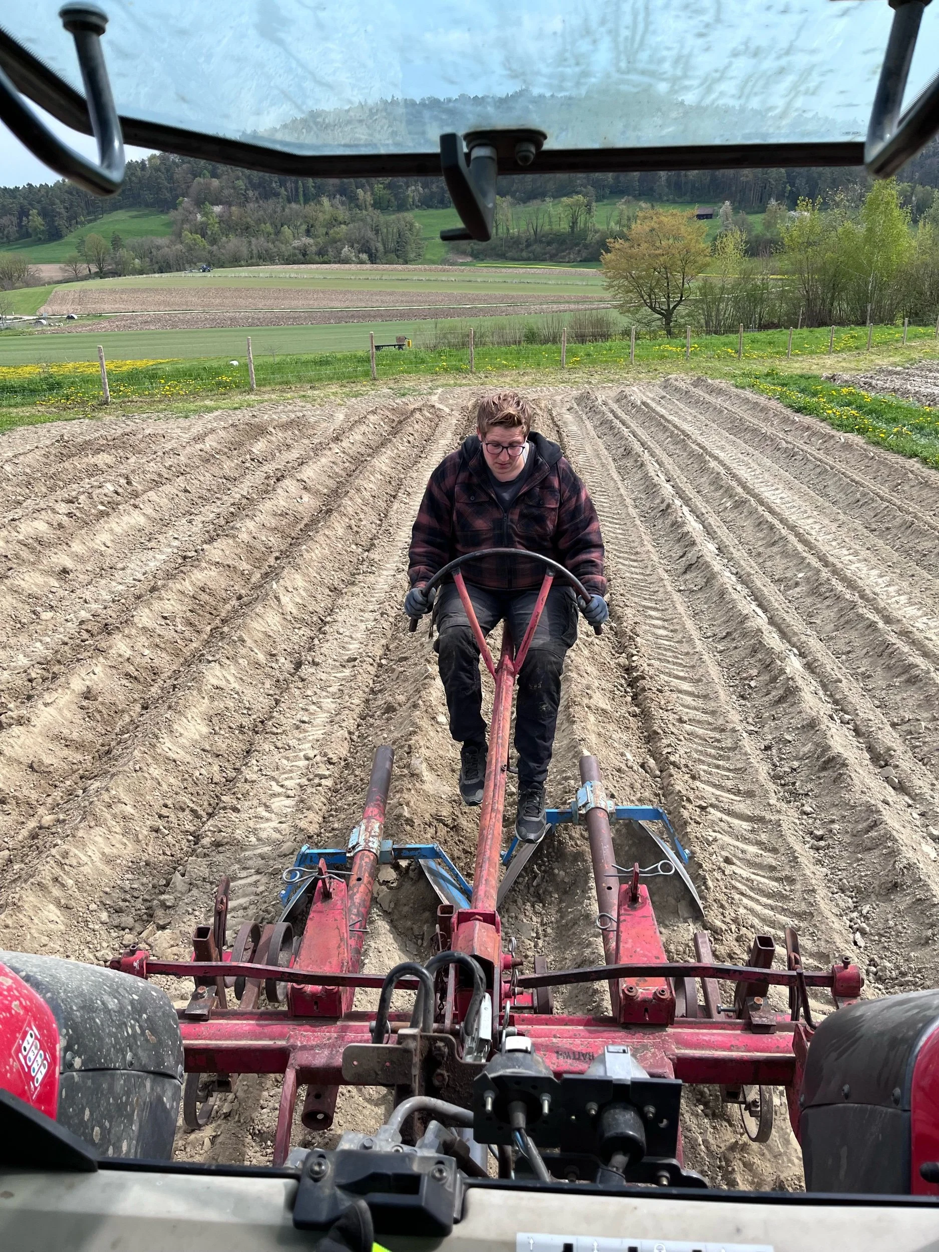 Kartoffeln anhäufeln