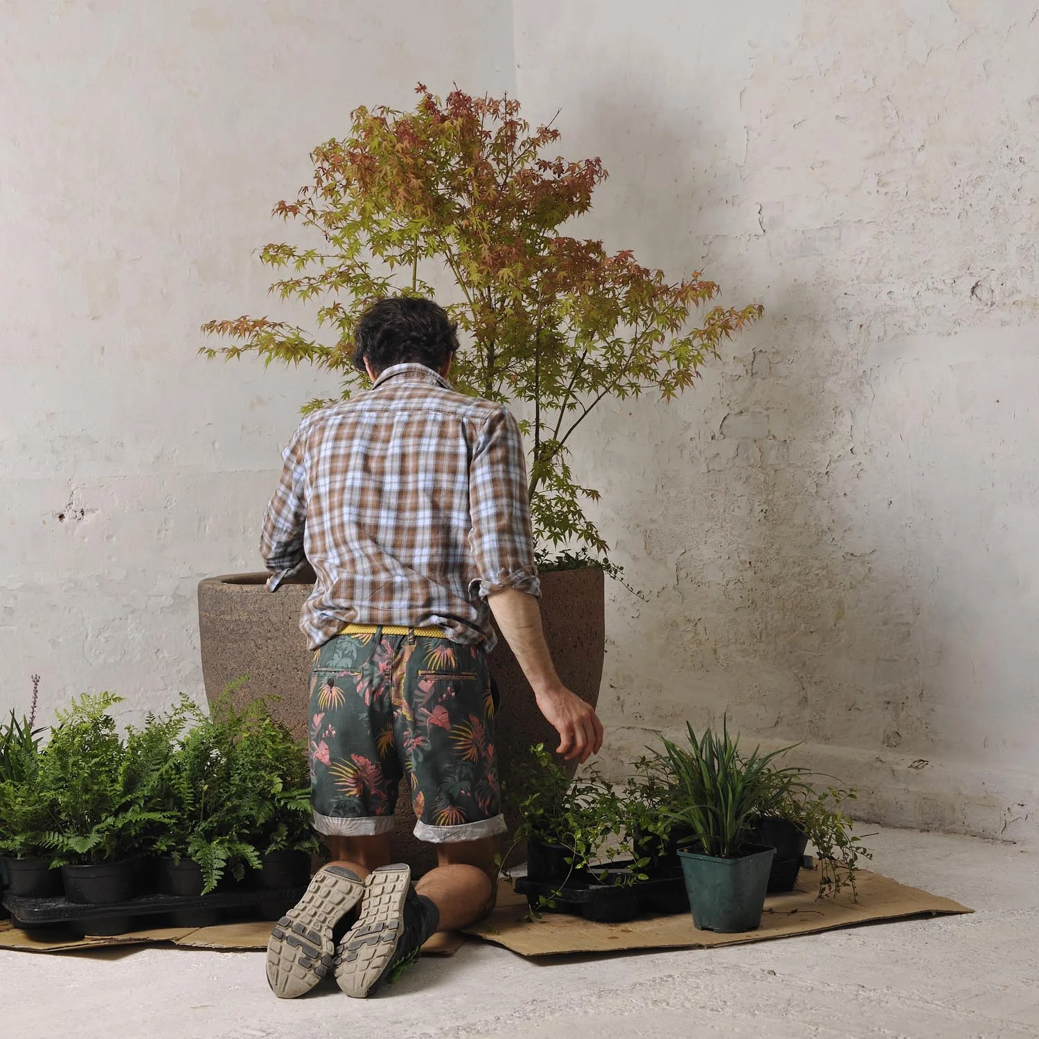 Designing a potted garden range. Plotted and Planted