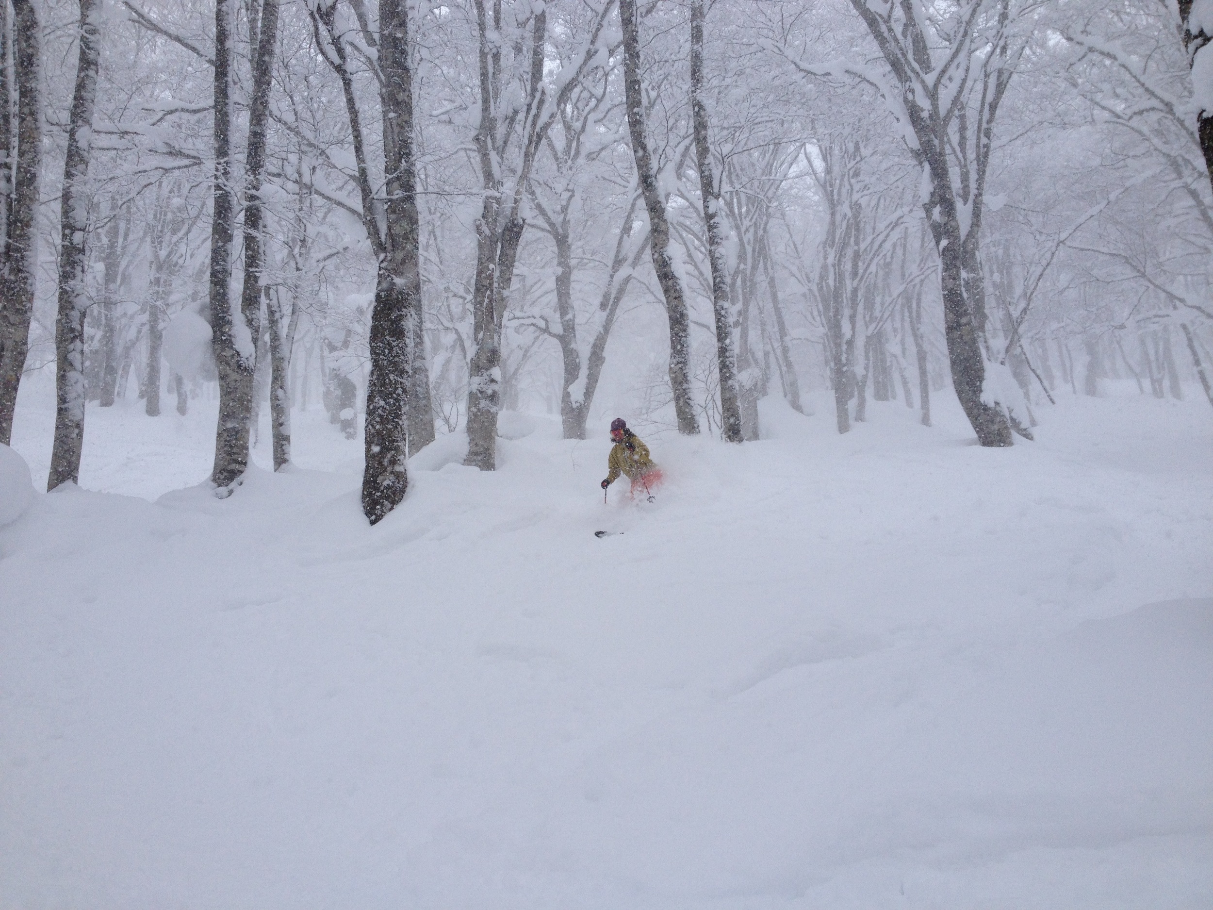 The quiet resort of Myoko Kogen