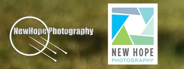 The left is my old logo the right is my current