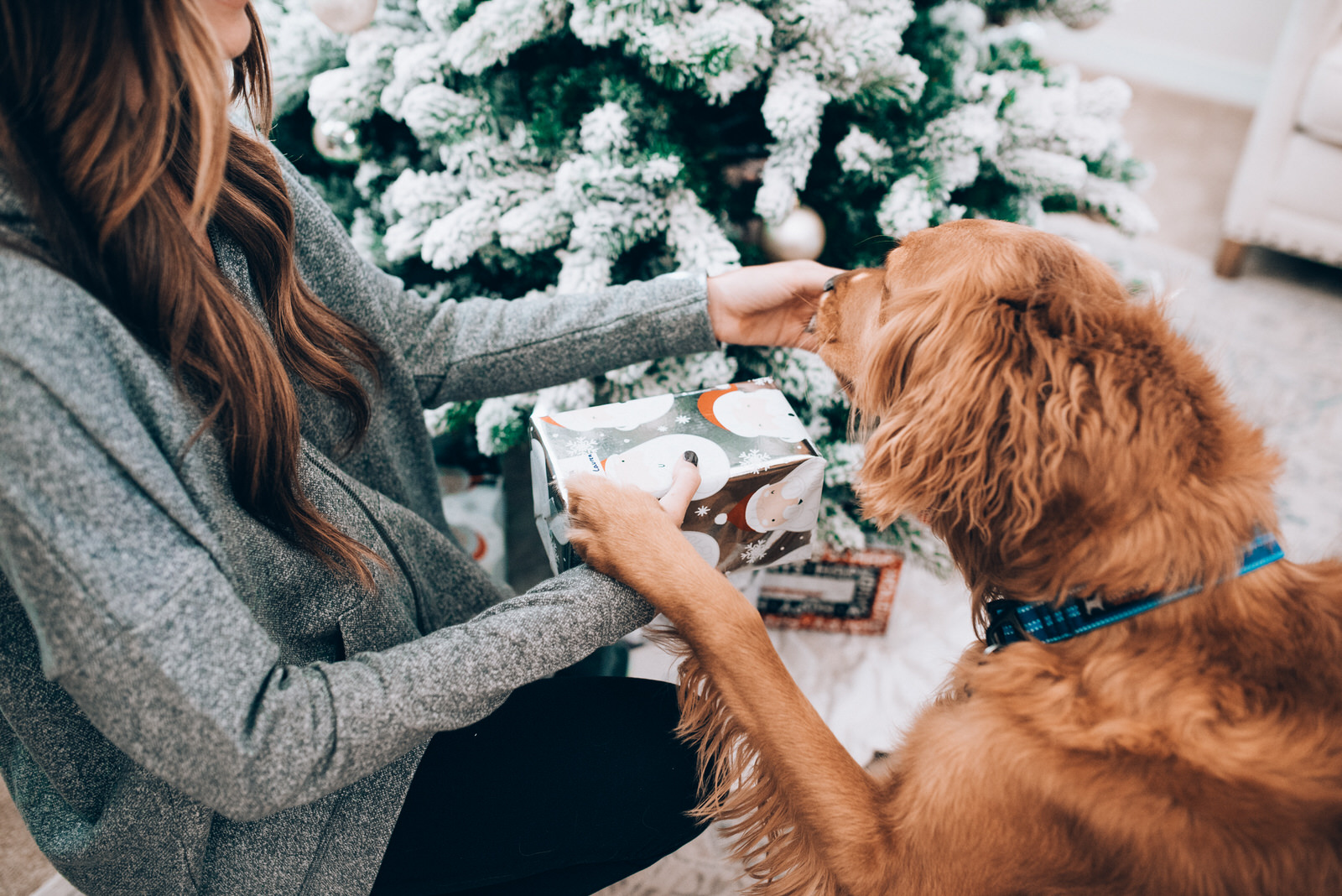 Christmas Couples Photos - Denver-Boulder wedding photographer (54 of 72).jpg