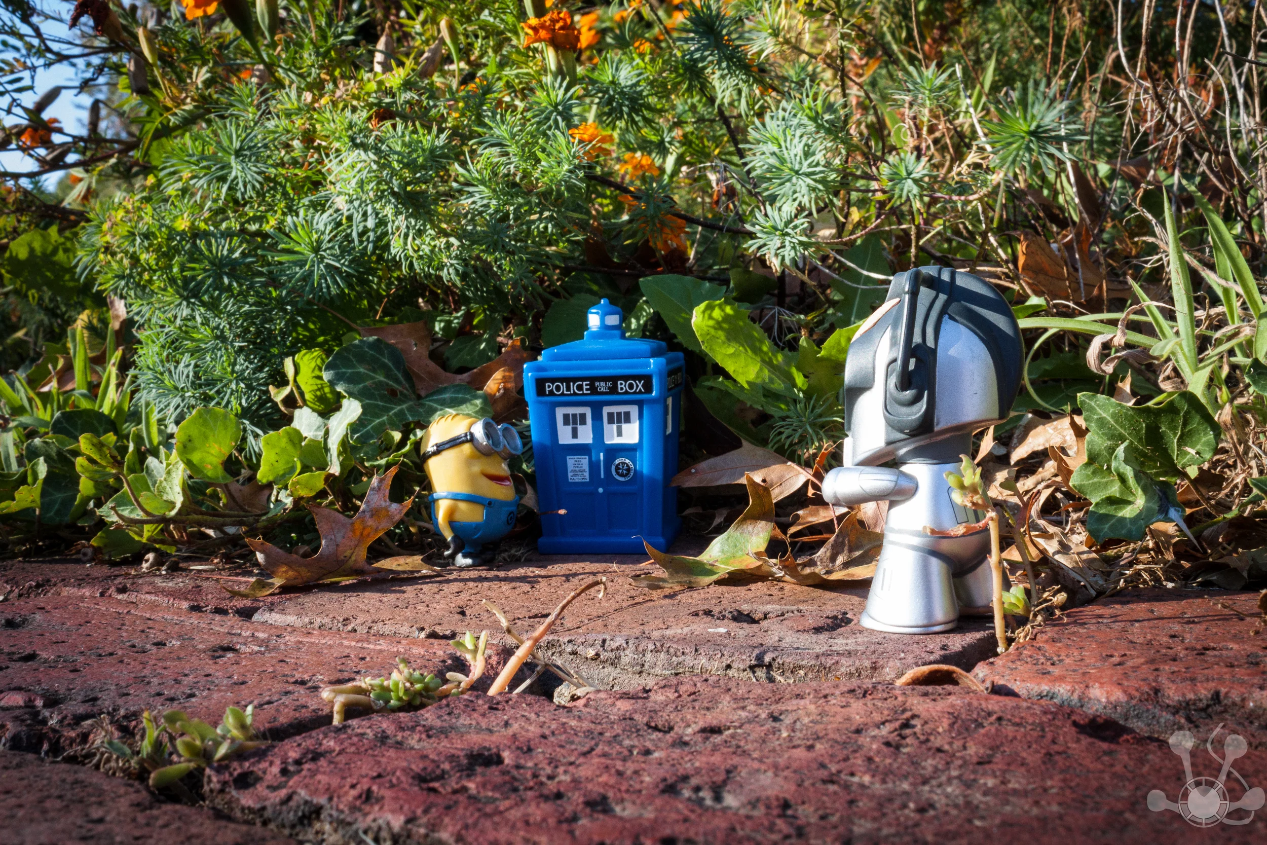 Minion found Tardis first.jpg