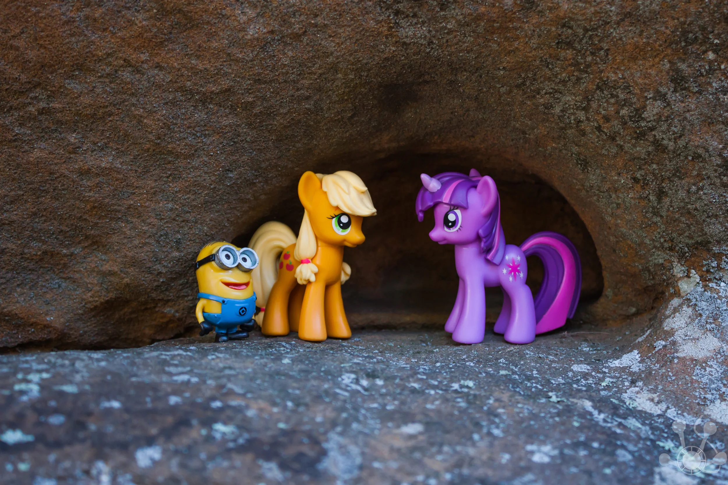Pony Gardon of the Gods (16 of 1).jpg