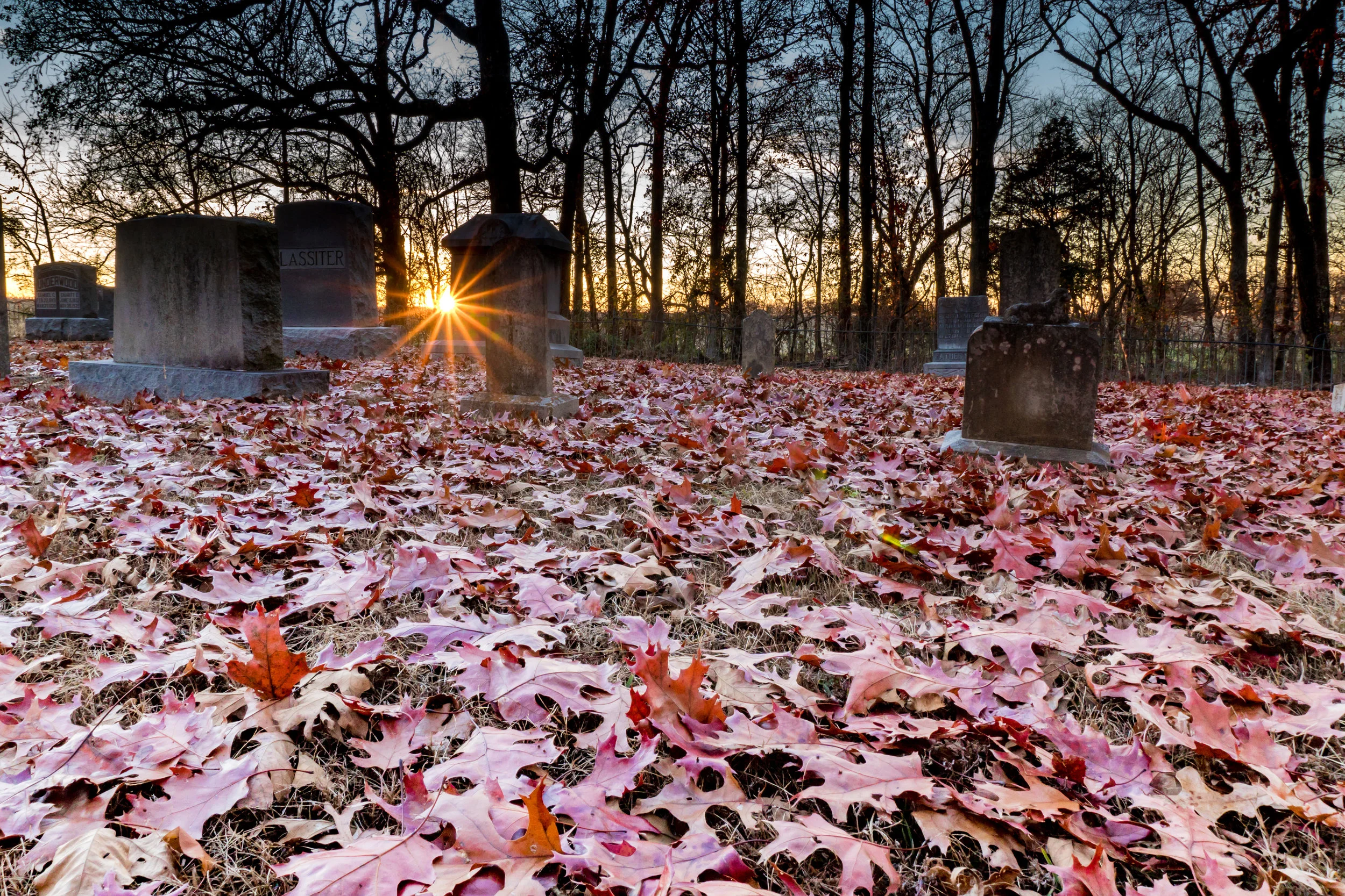 Sunset Graveyard.jpg