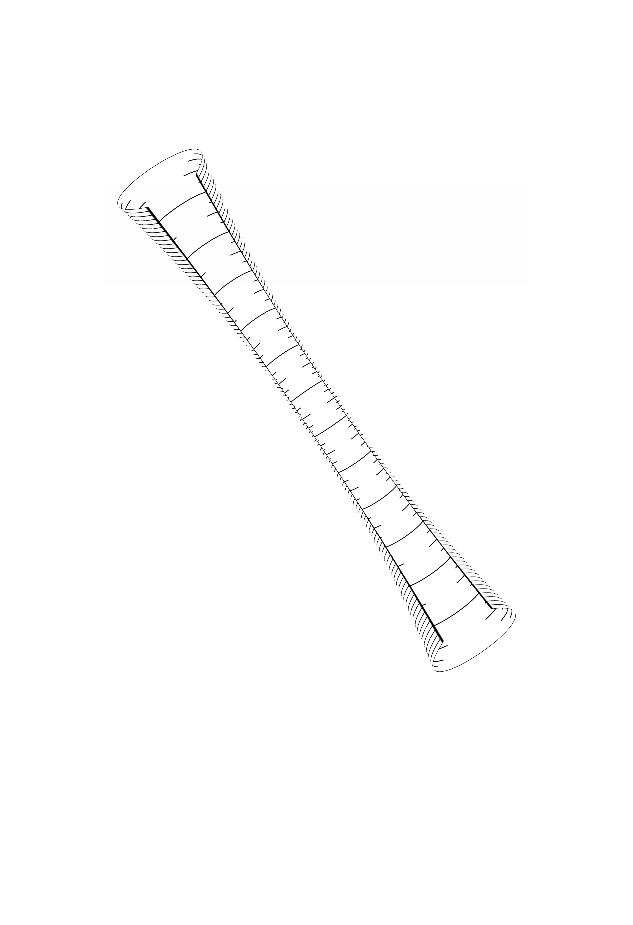 73 drawing copy.png