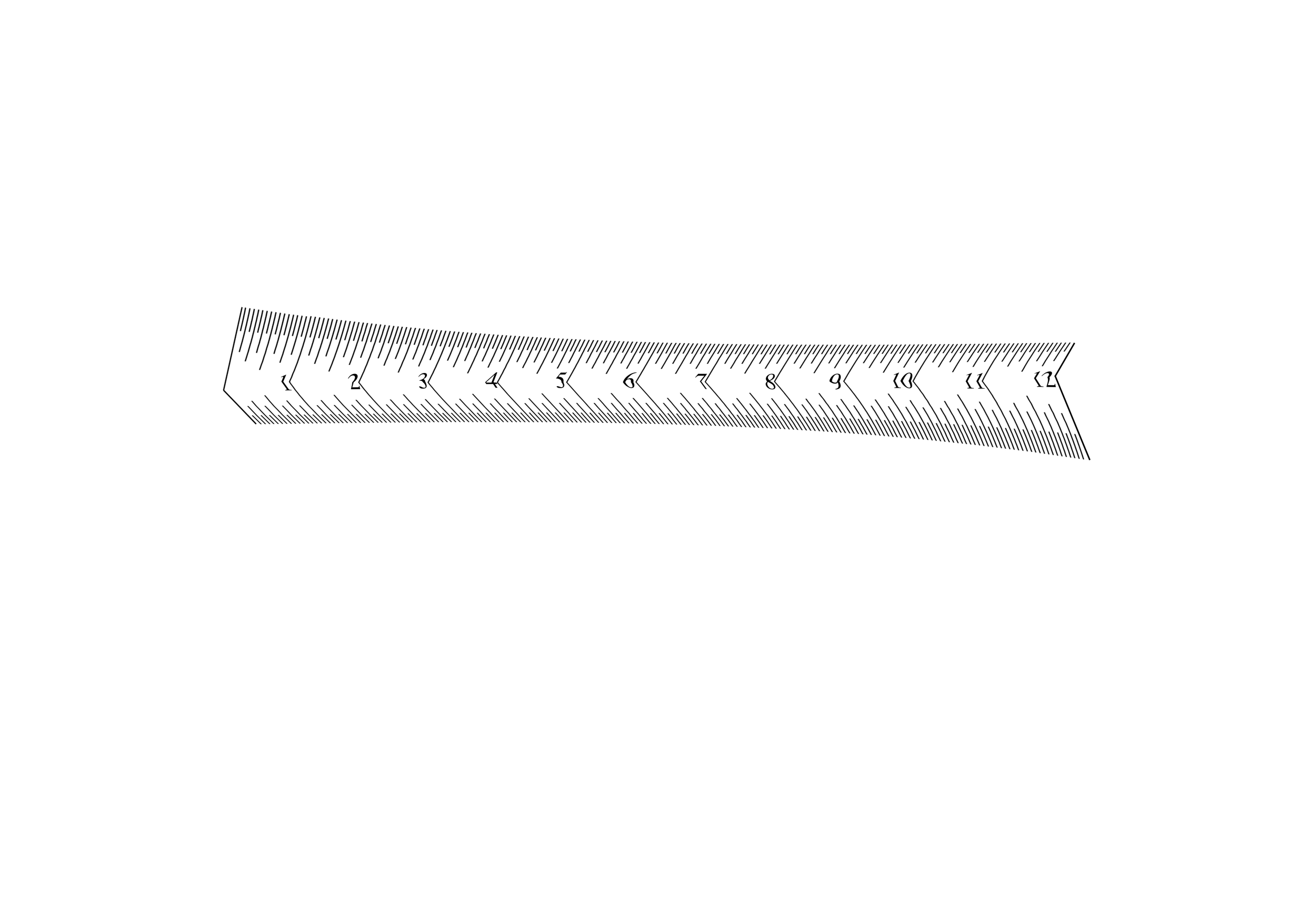 12+drawing+copy.webp