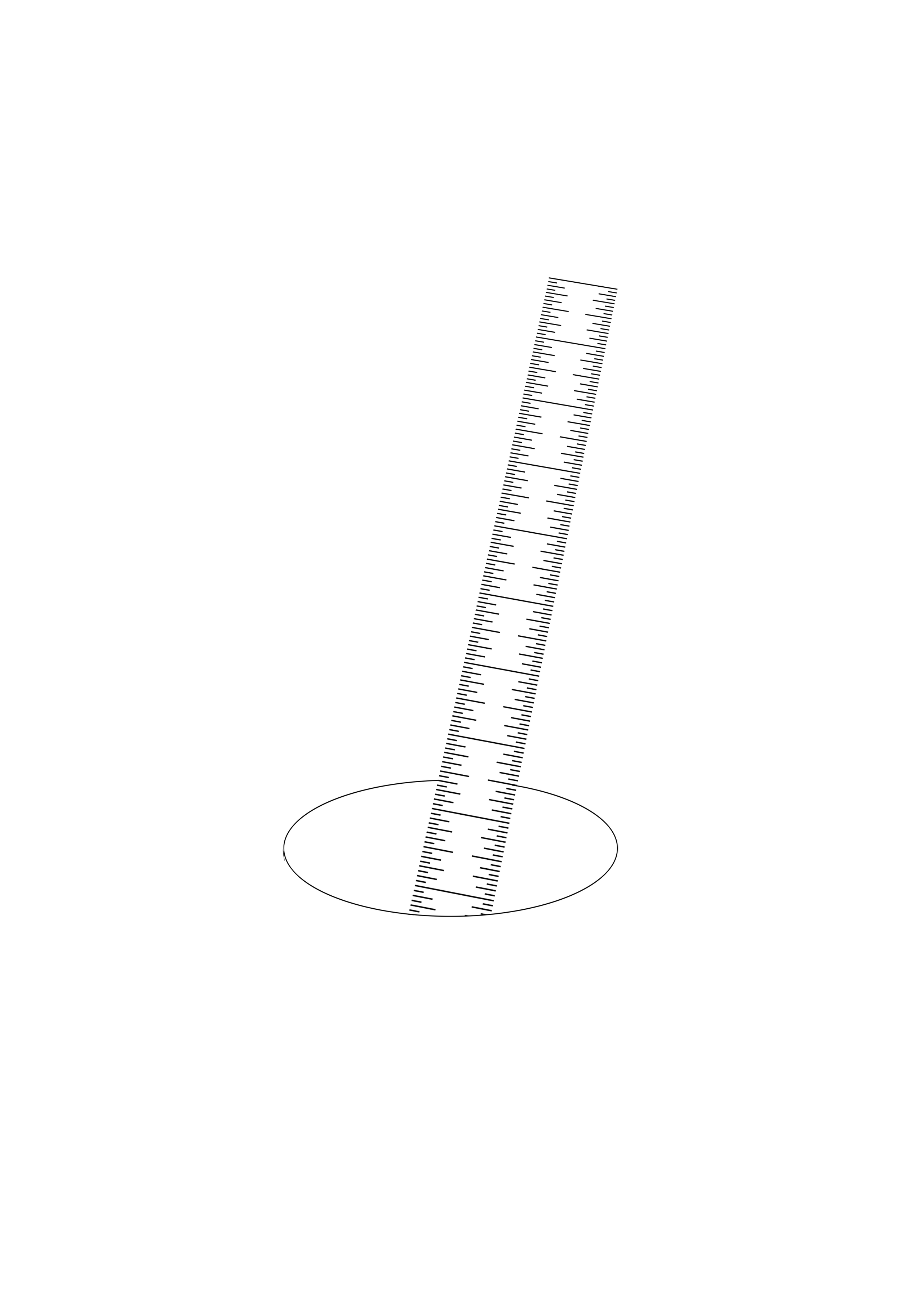 384 copy.png