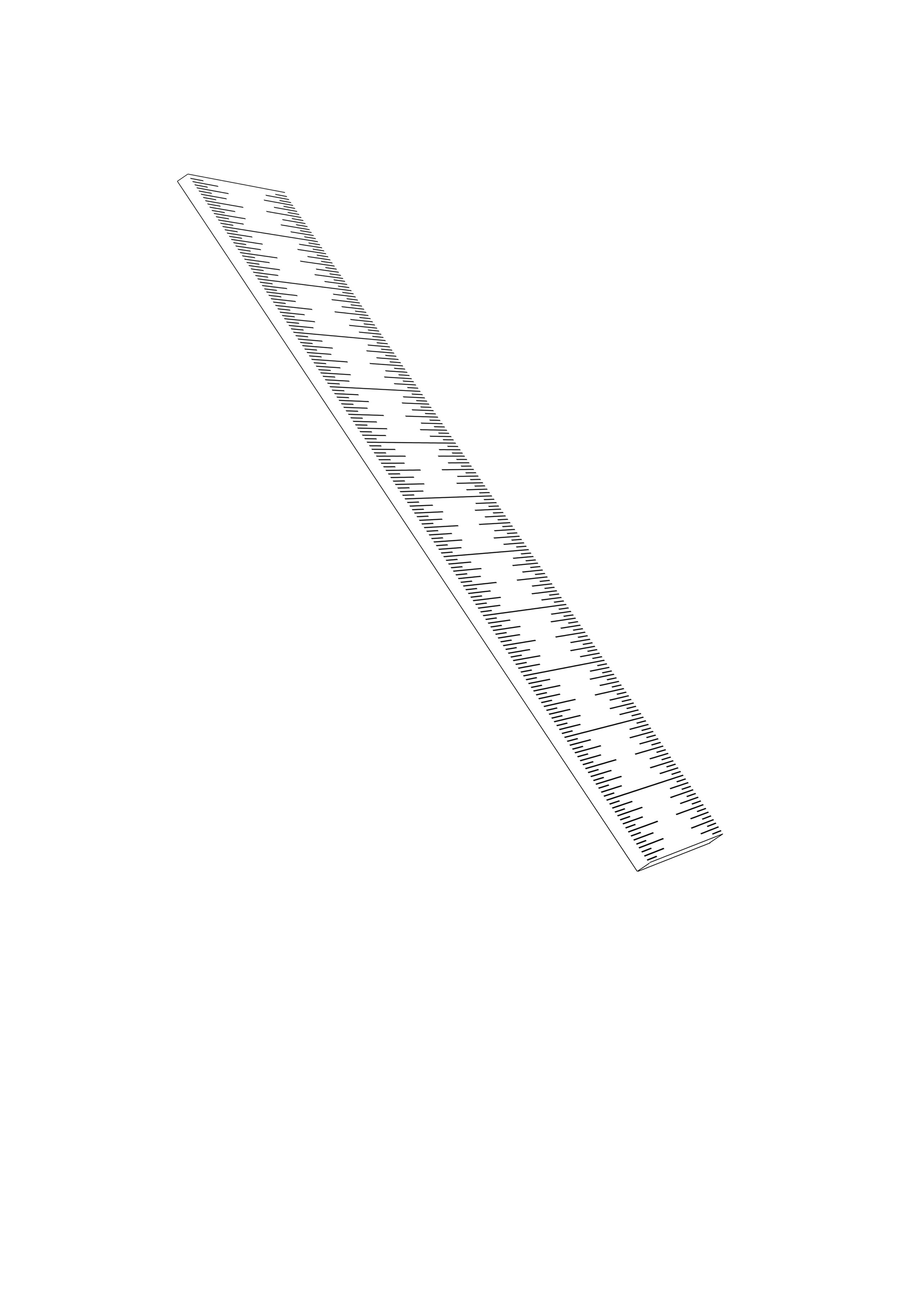 100 drawing2 copy.png