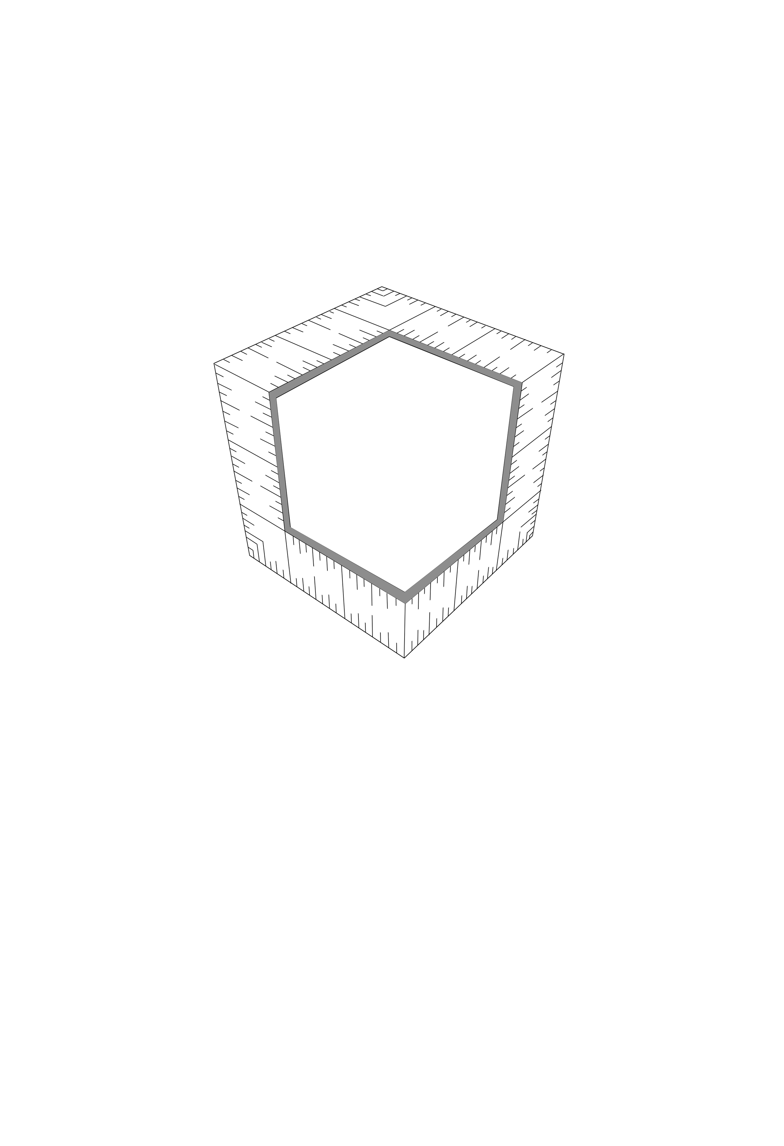 24 drawing 2 copy.png