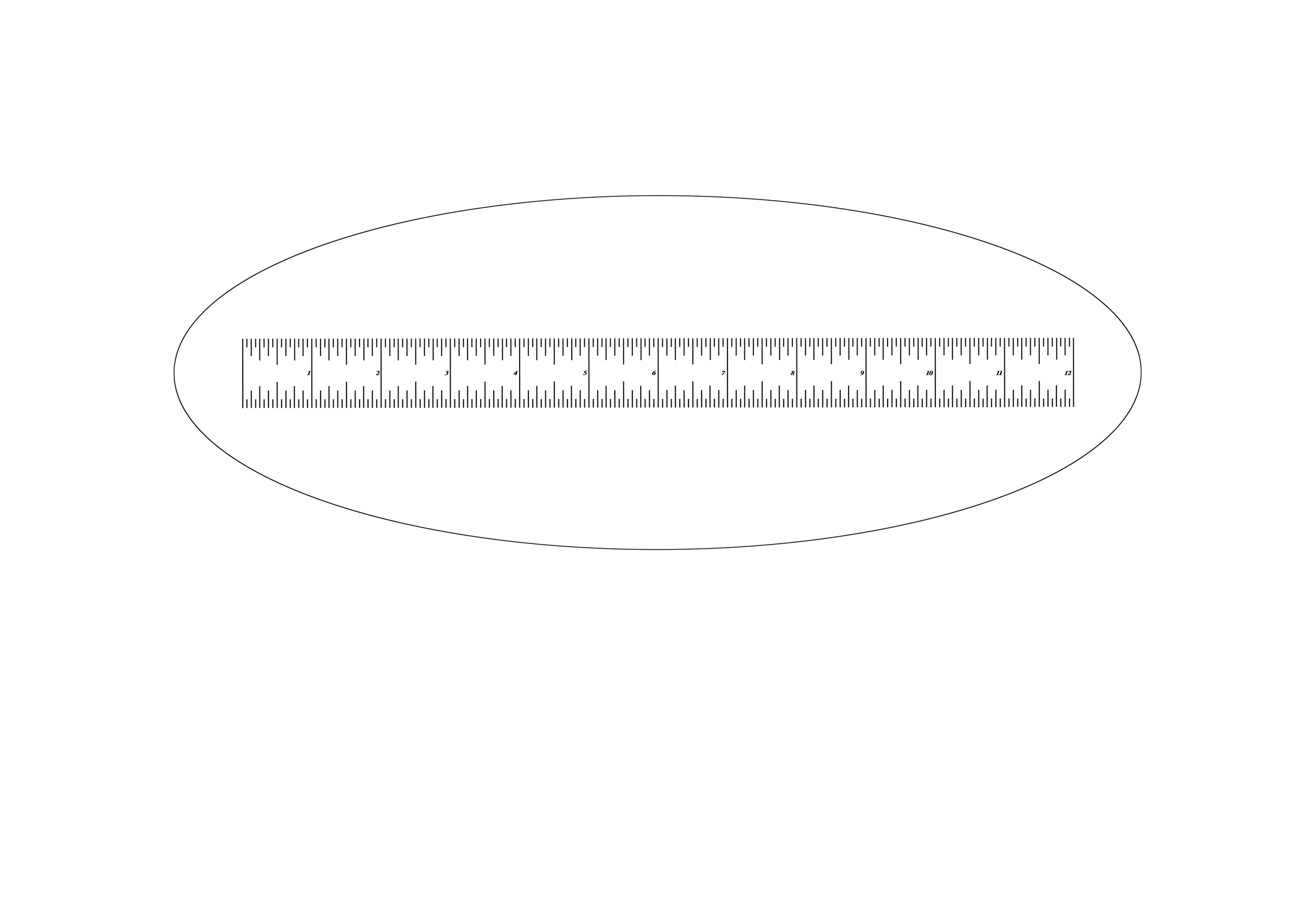 79 drawing copy.png