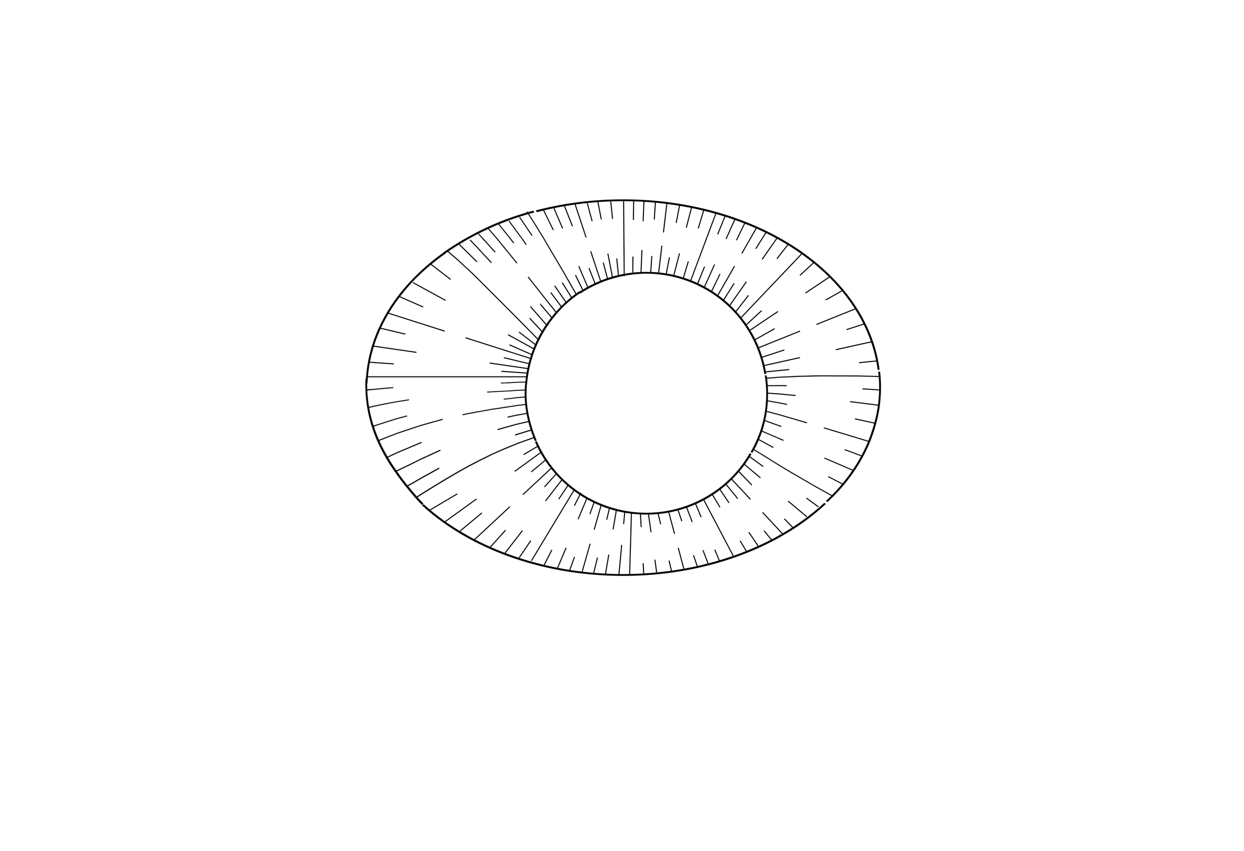 256.png