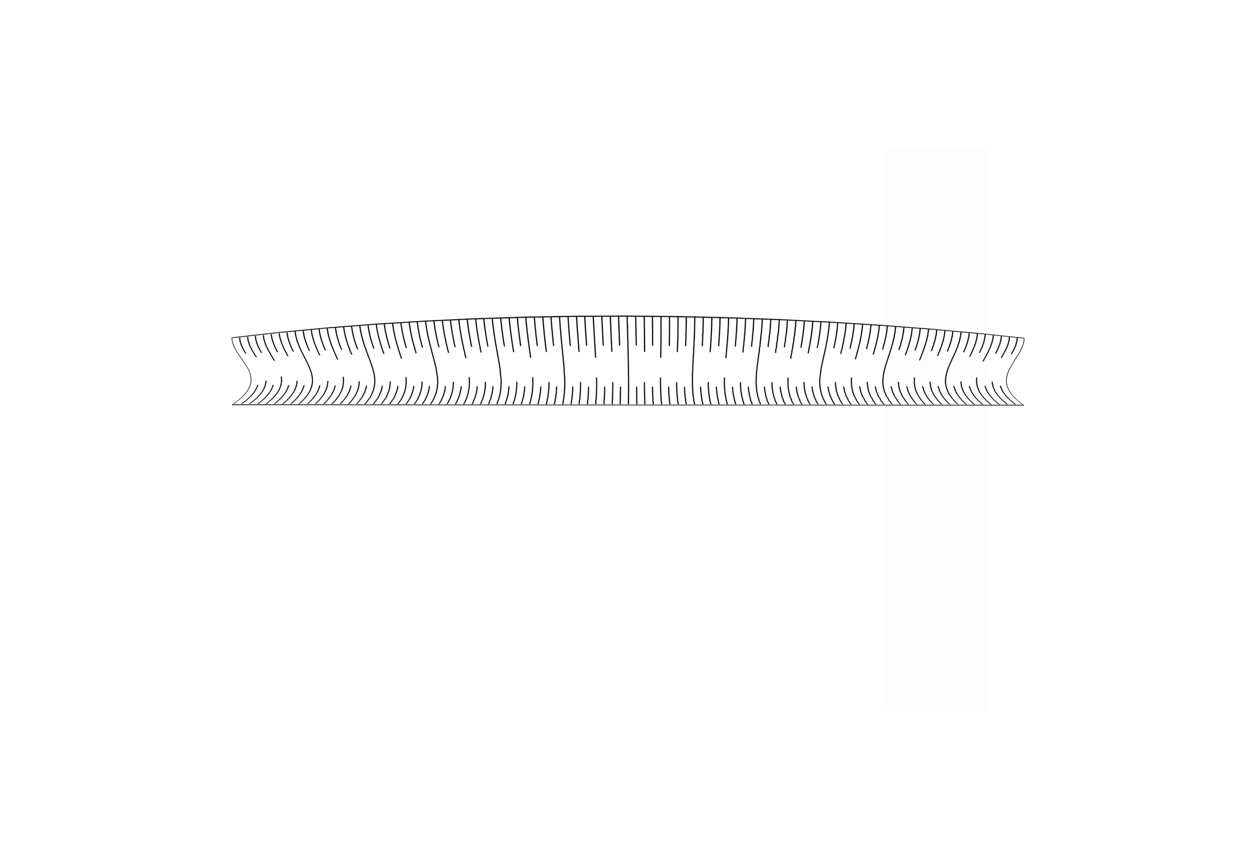 28 drawing copy.png