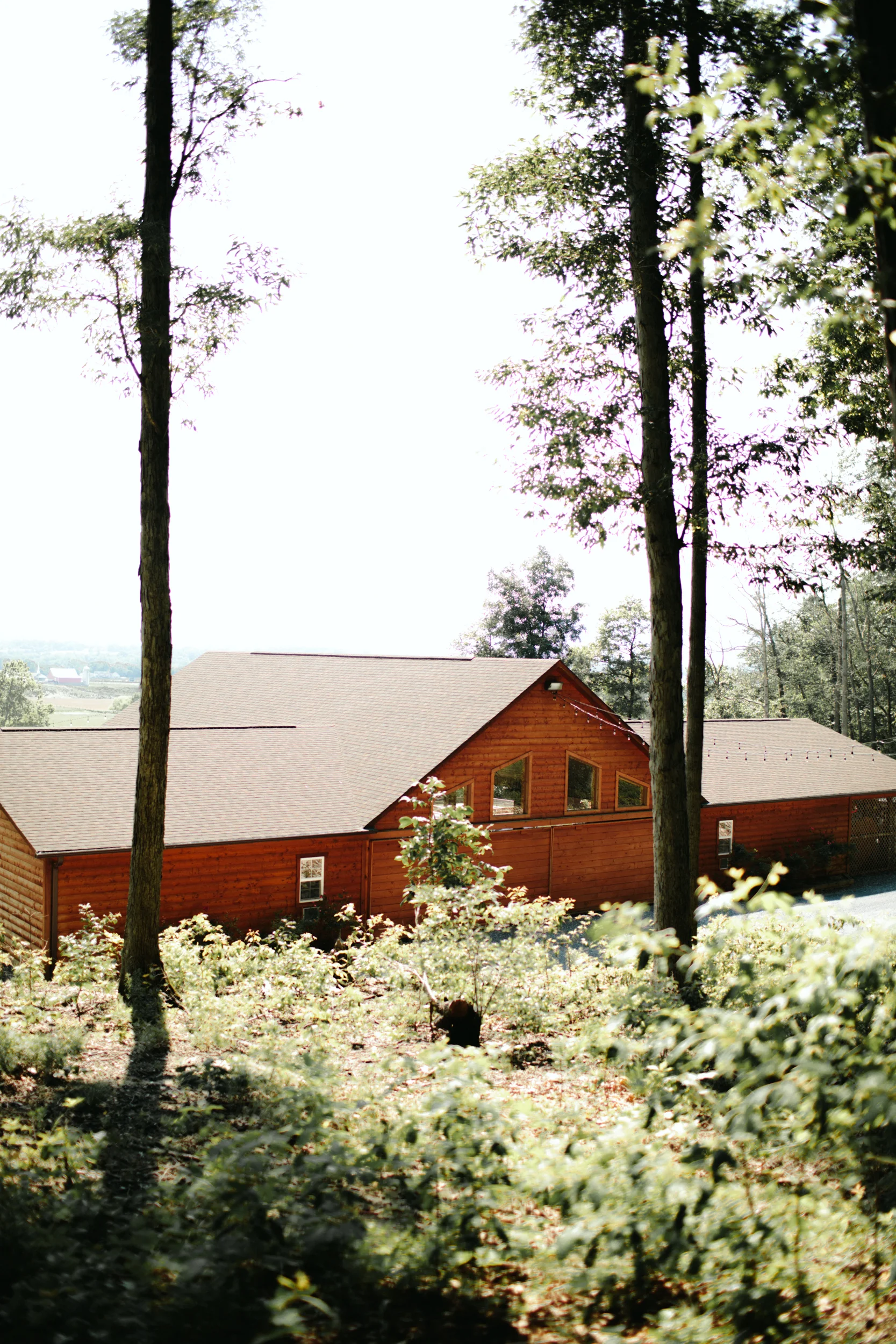 shenandoah-woods-wedding-1.jpg