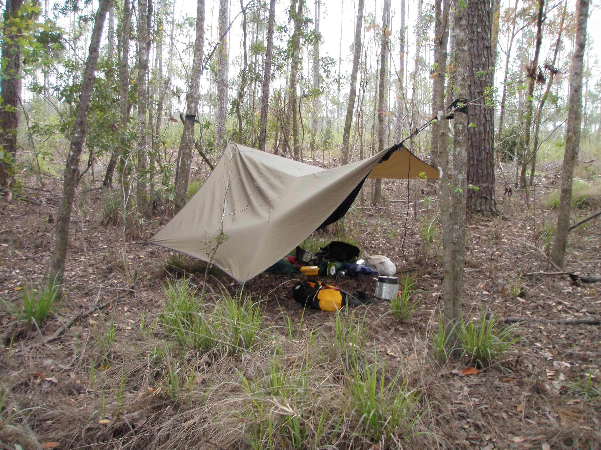 Local Wilderness Camping.JPG