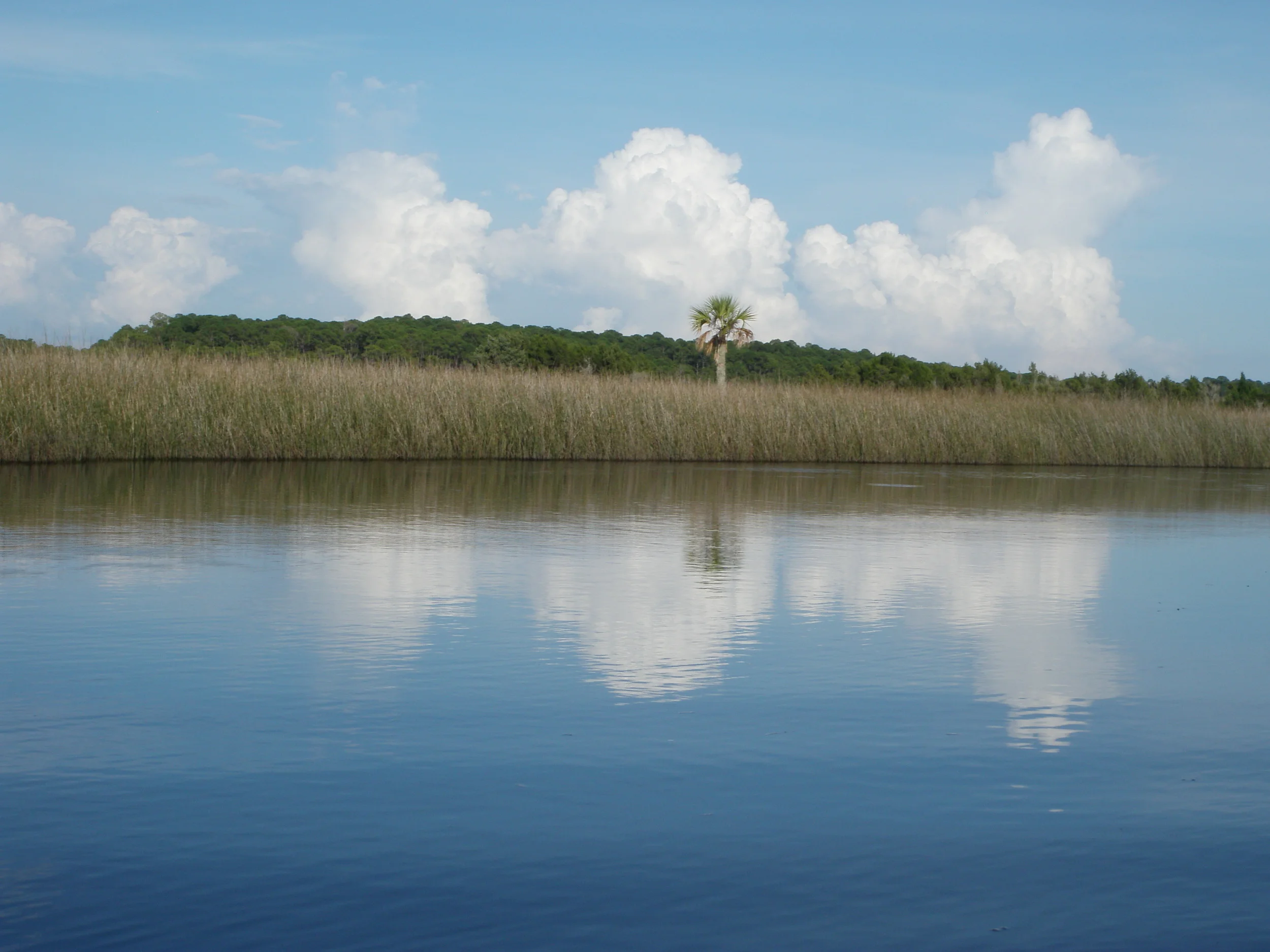St. Marks, FL: Navigation and Tides/Reading the Water