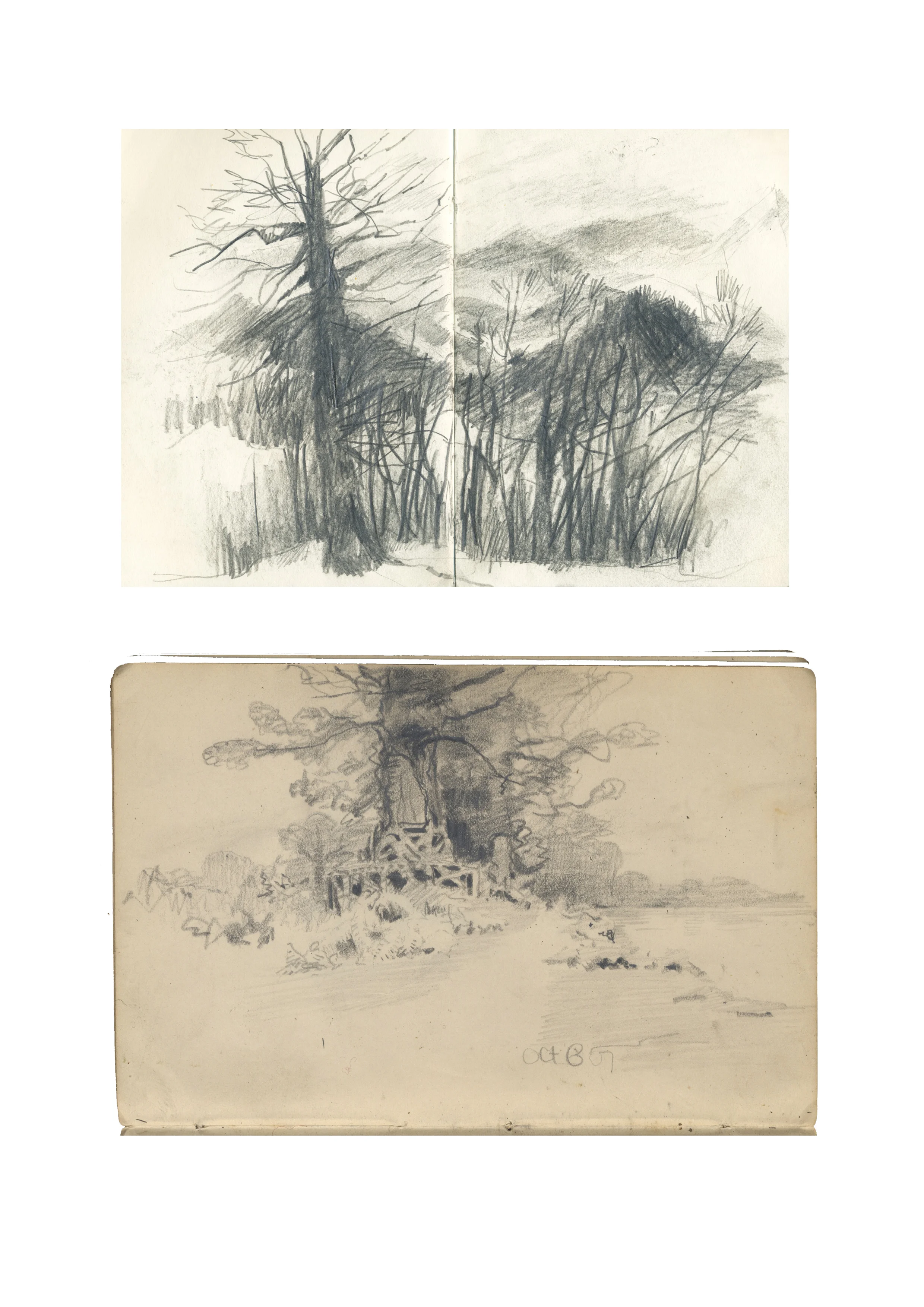 Landscapes
