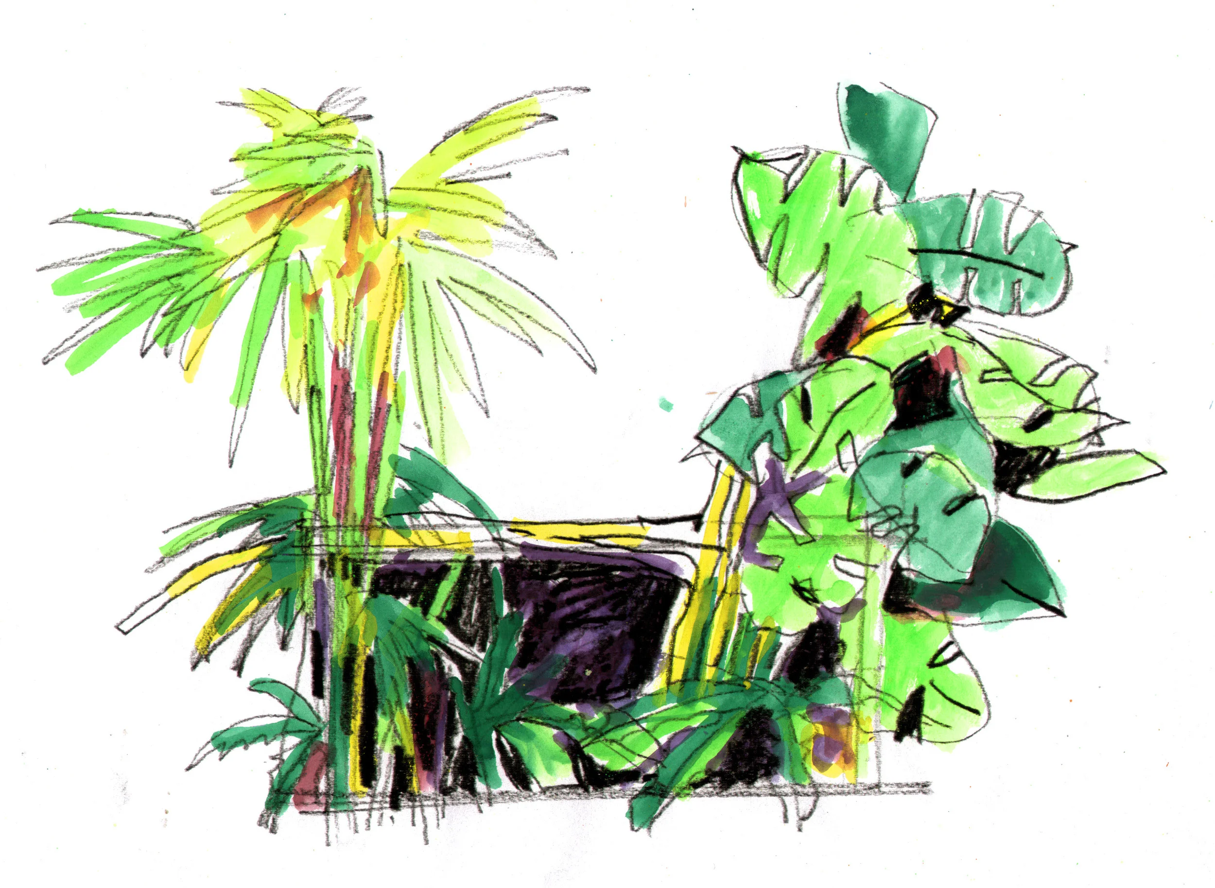 Jungle Book
