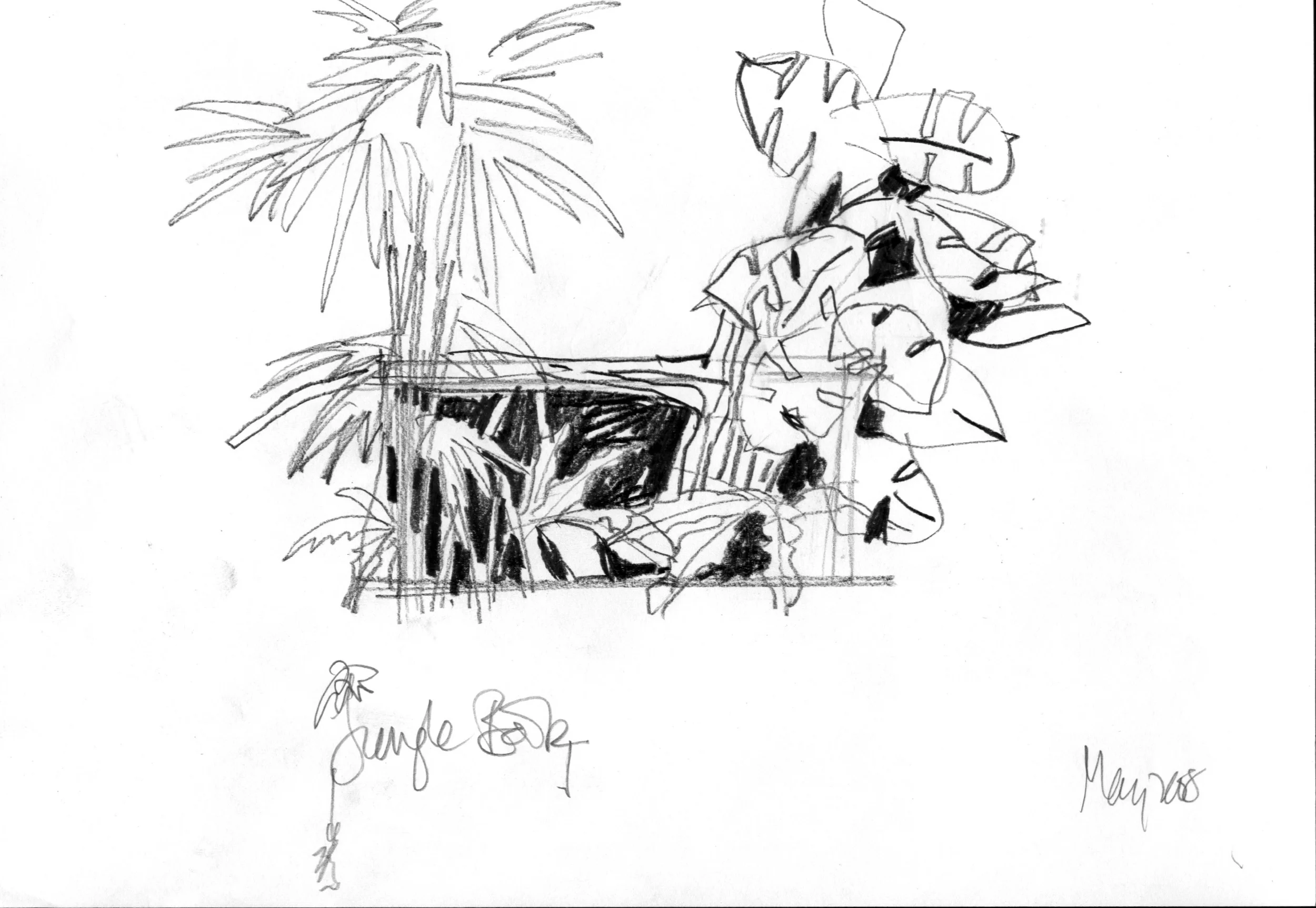 Jungle Book