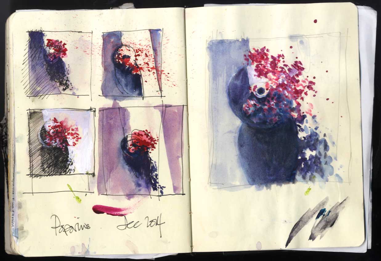 Red Berries - watercolour and pen studies