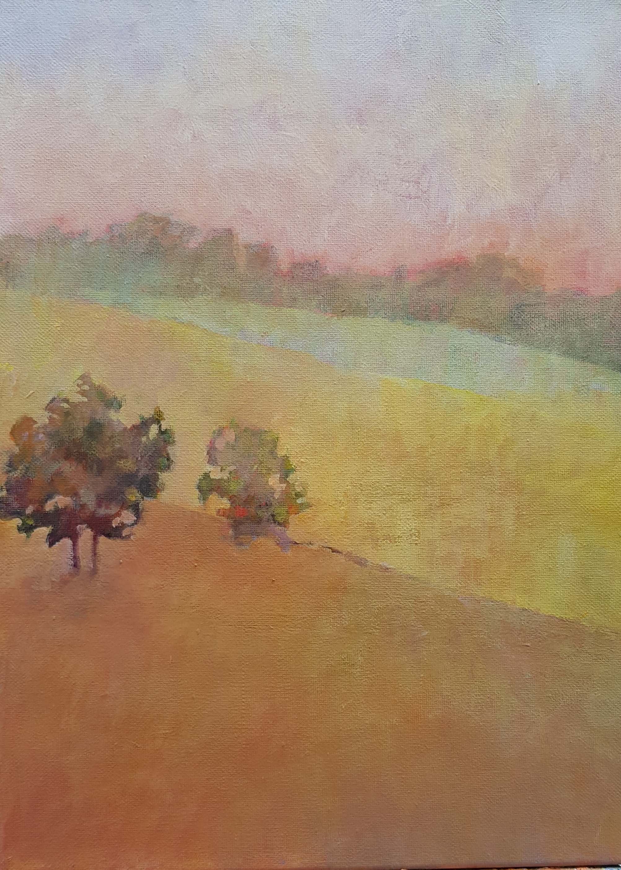 acrylics on canvas 40cm x 30cm