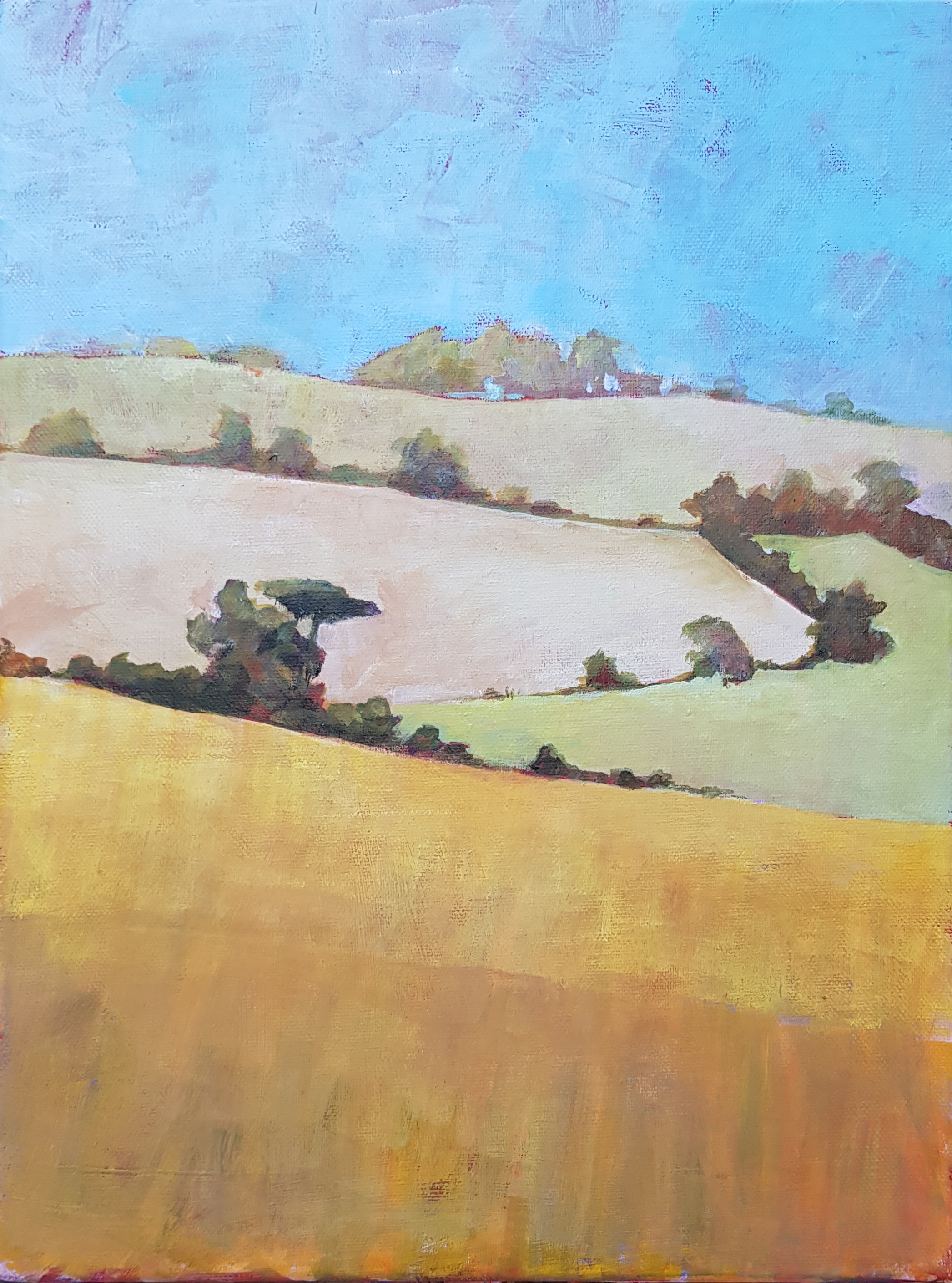 acrylics on canvas 40cm x 30cm