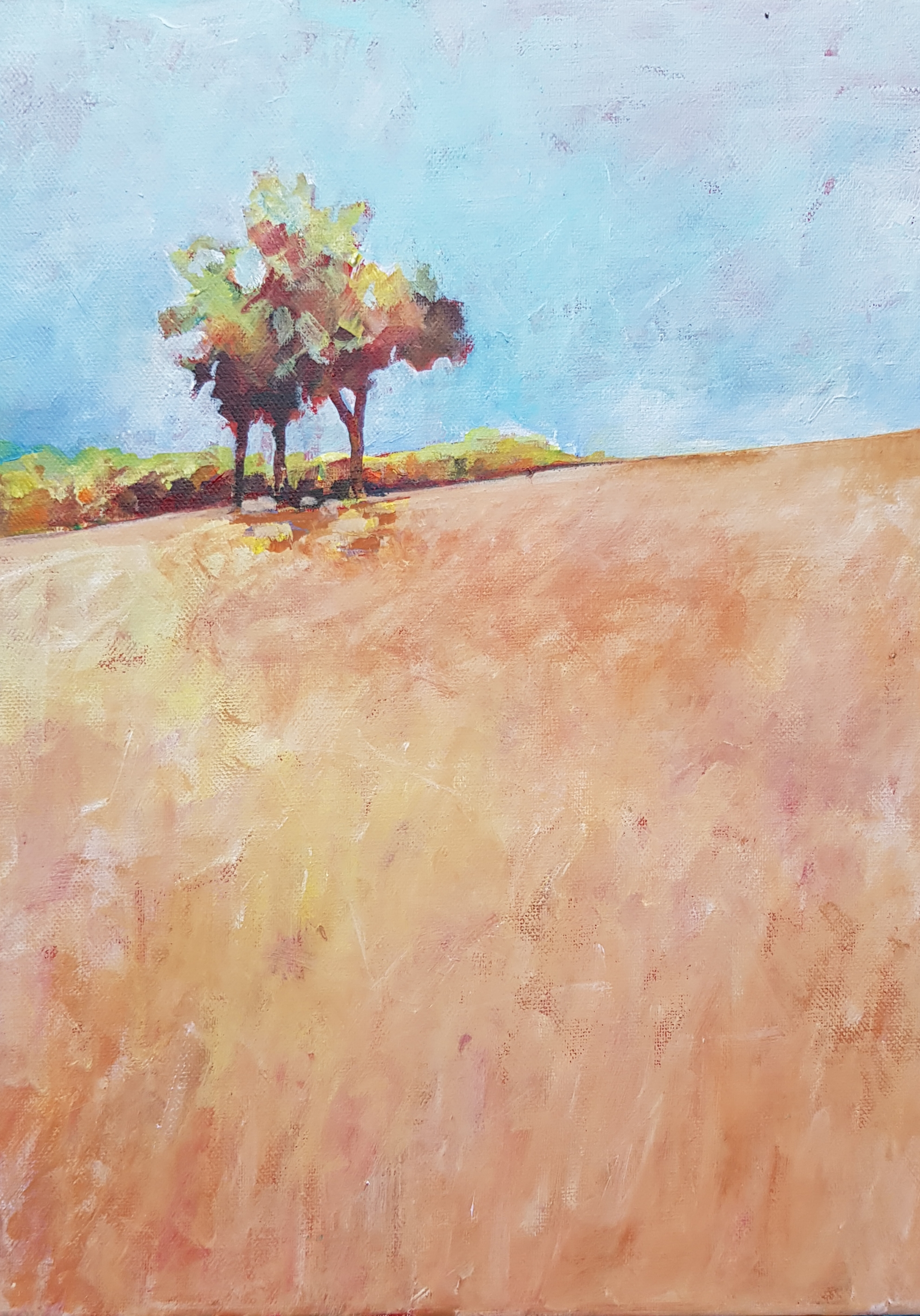 acrylics on canvas 40cm x 30cm