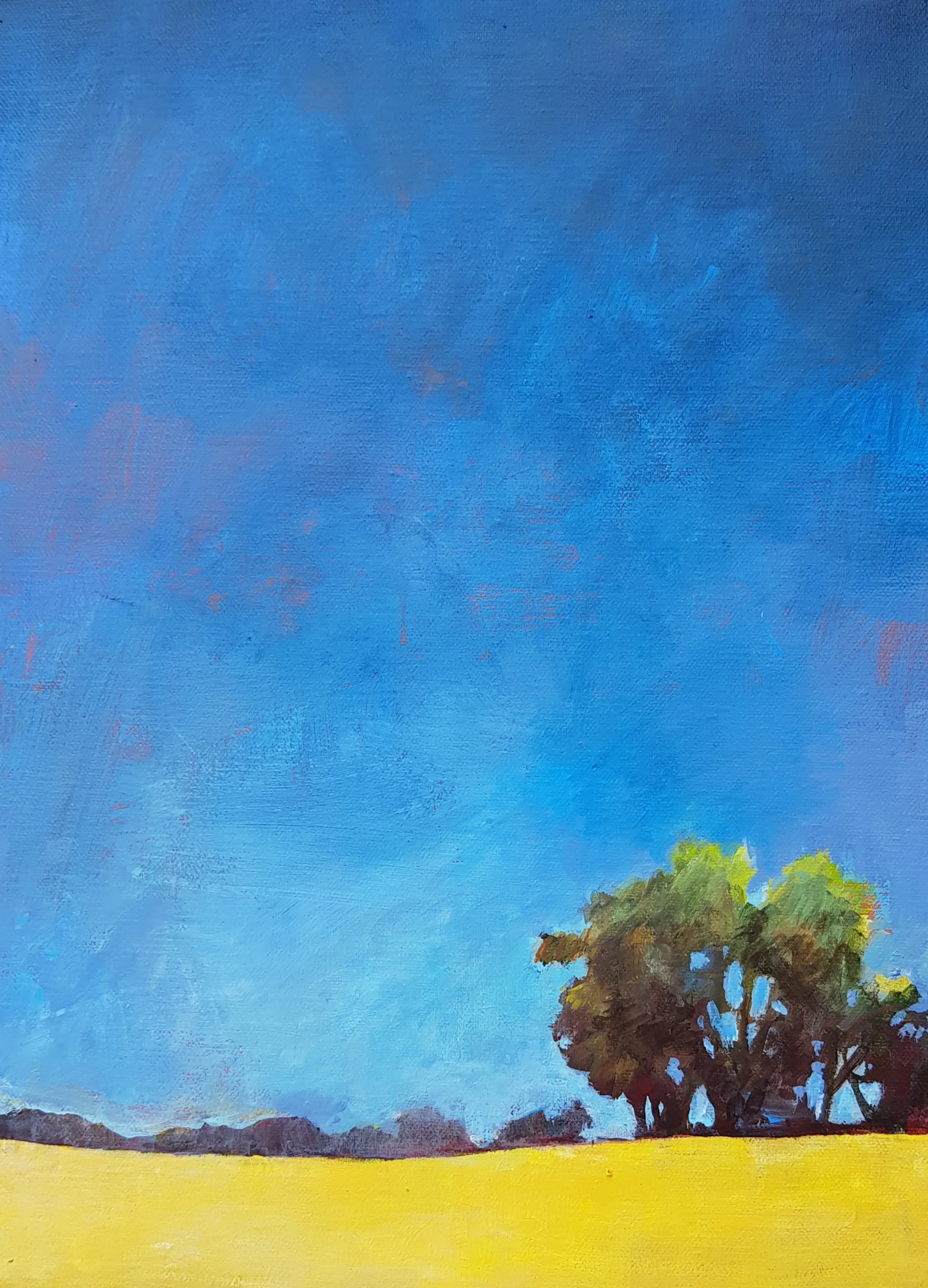 acrylics on canvas 40cm x 30cm