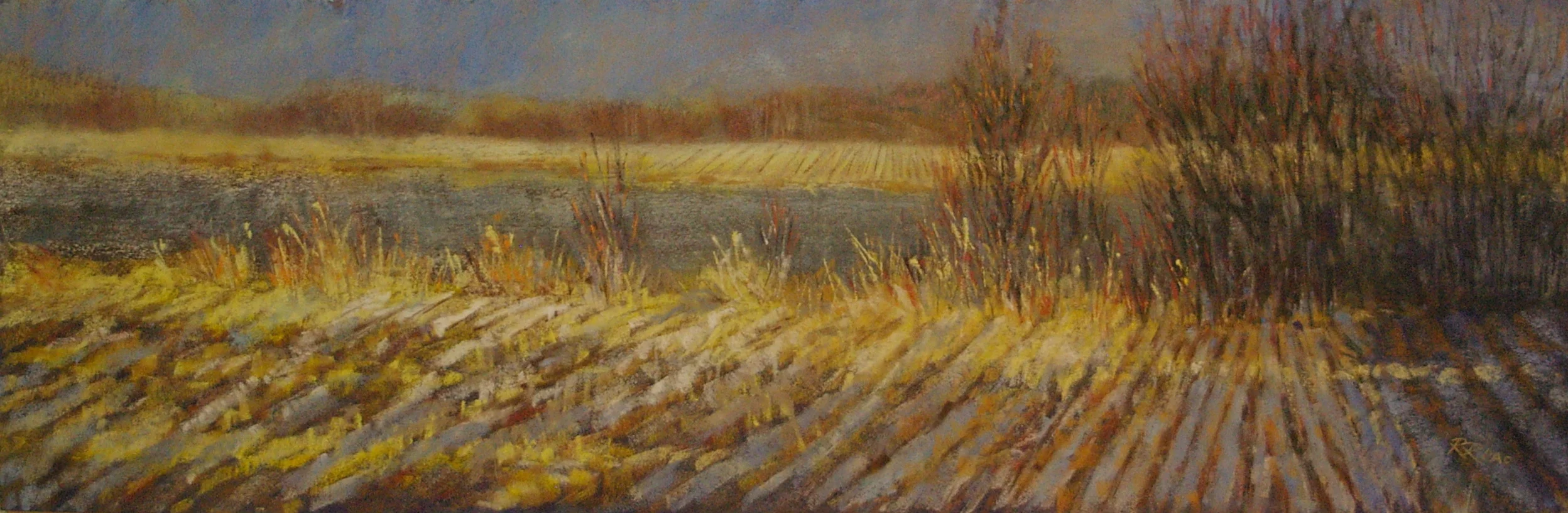 Winter Hedgerow