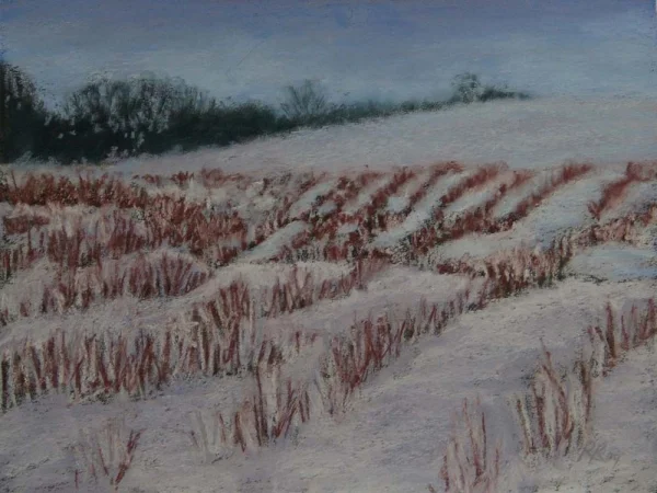 6_blueberry-fields-in-winter.jpg