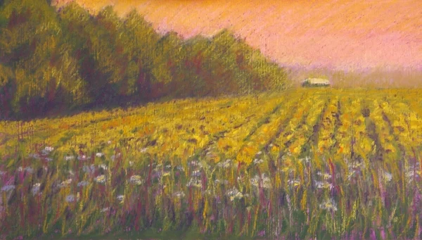 6_sunflower-sky.jpg