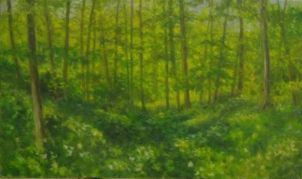 Trillium Woods