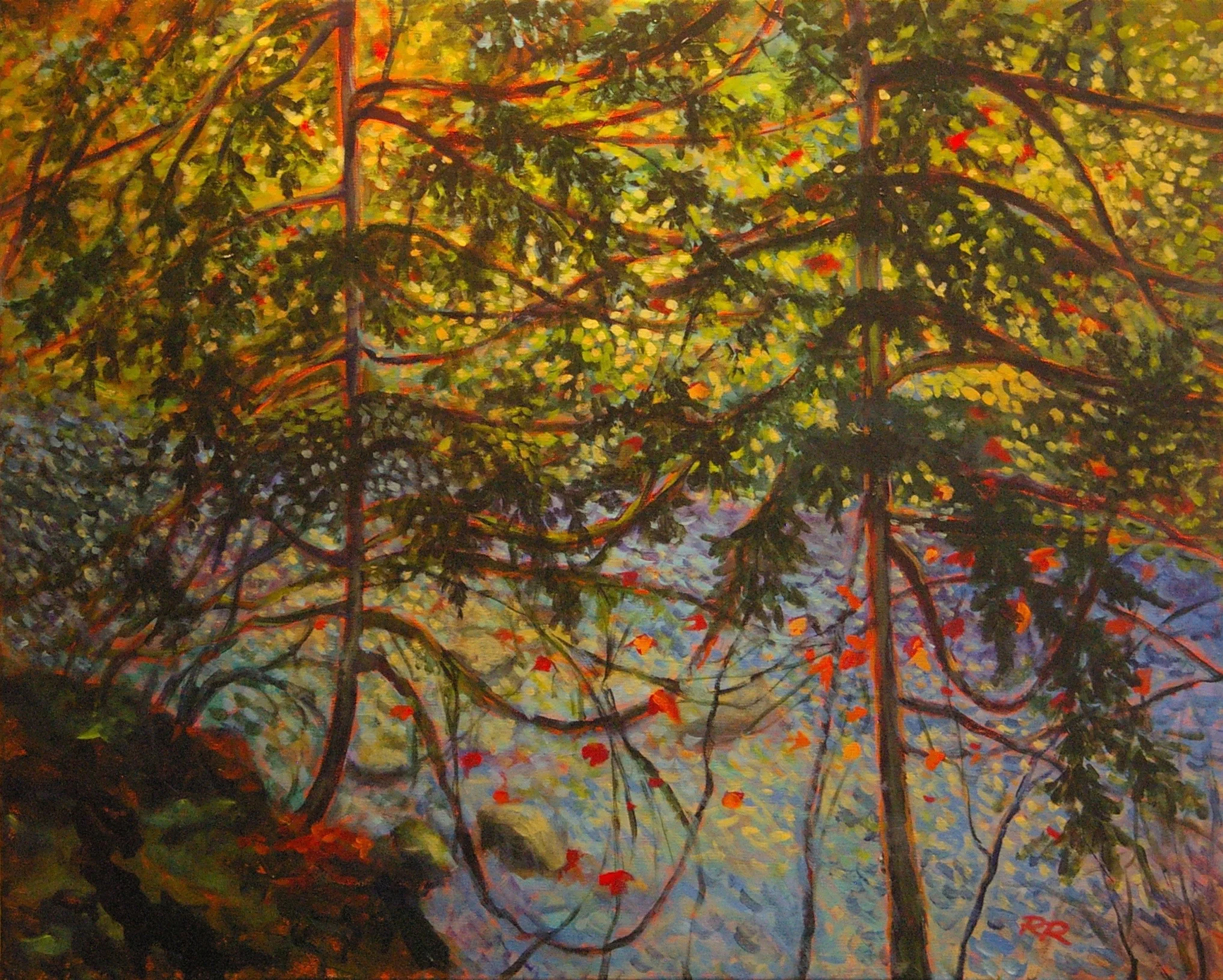 Tom's Woods