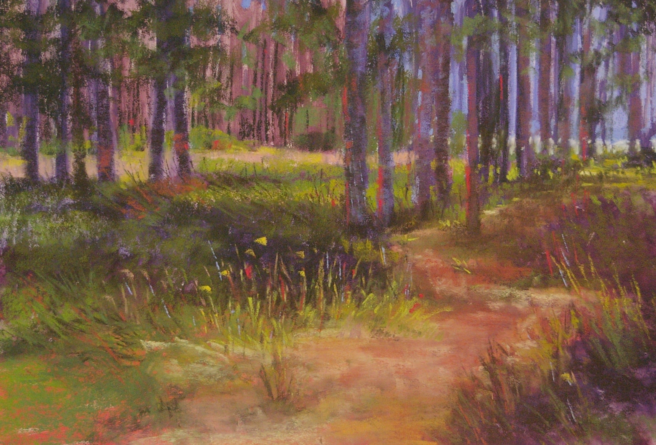 The Sunlit Path