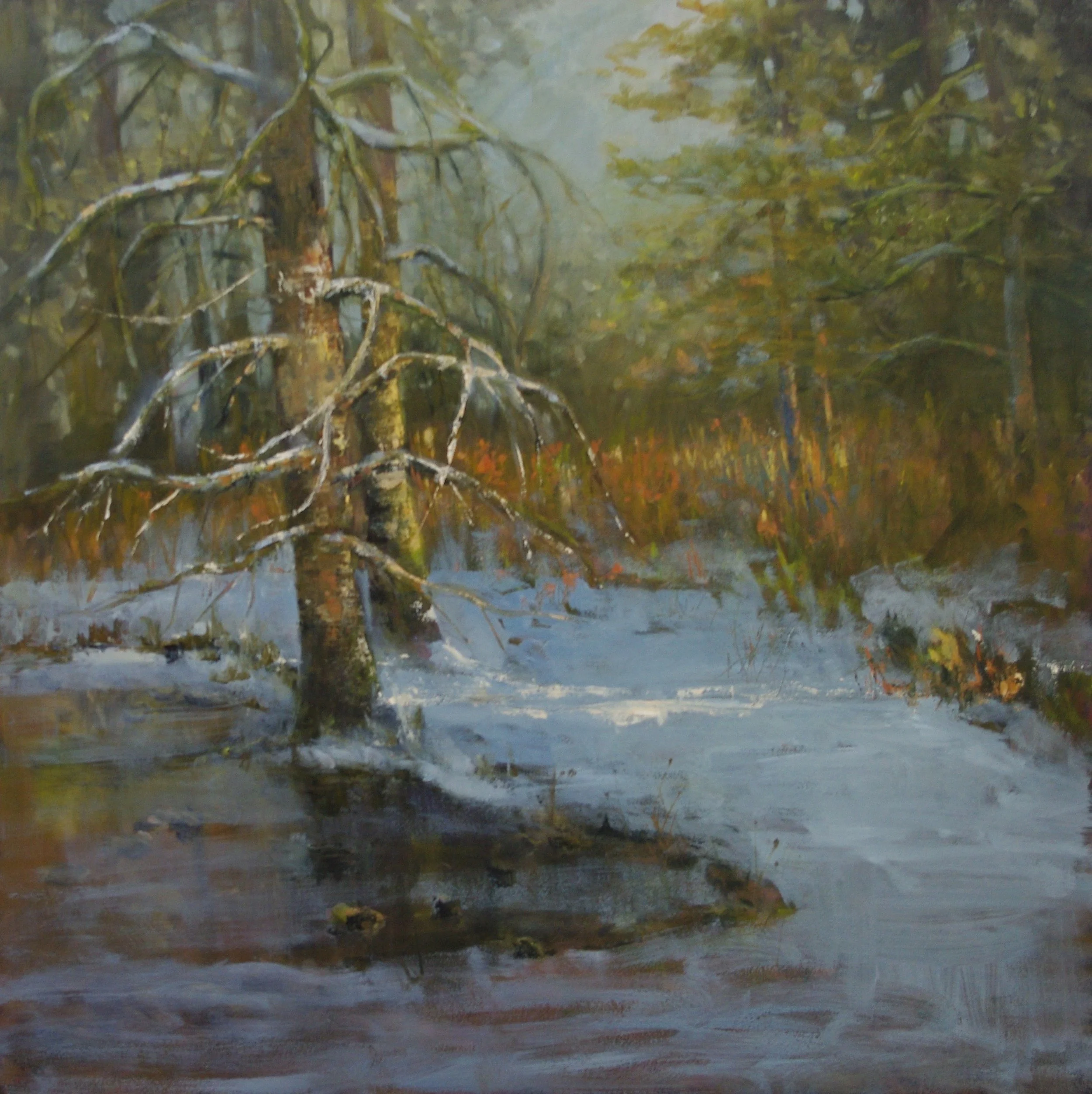 Solstice Shine, 24 x 24, oil on panel, framed $1200