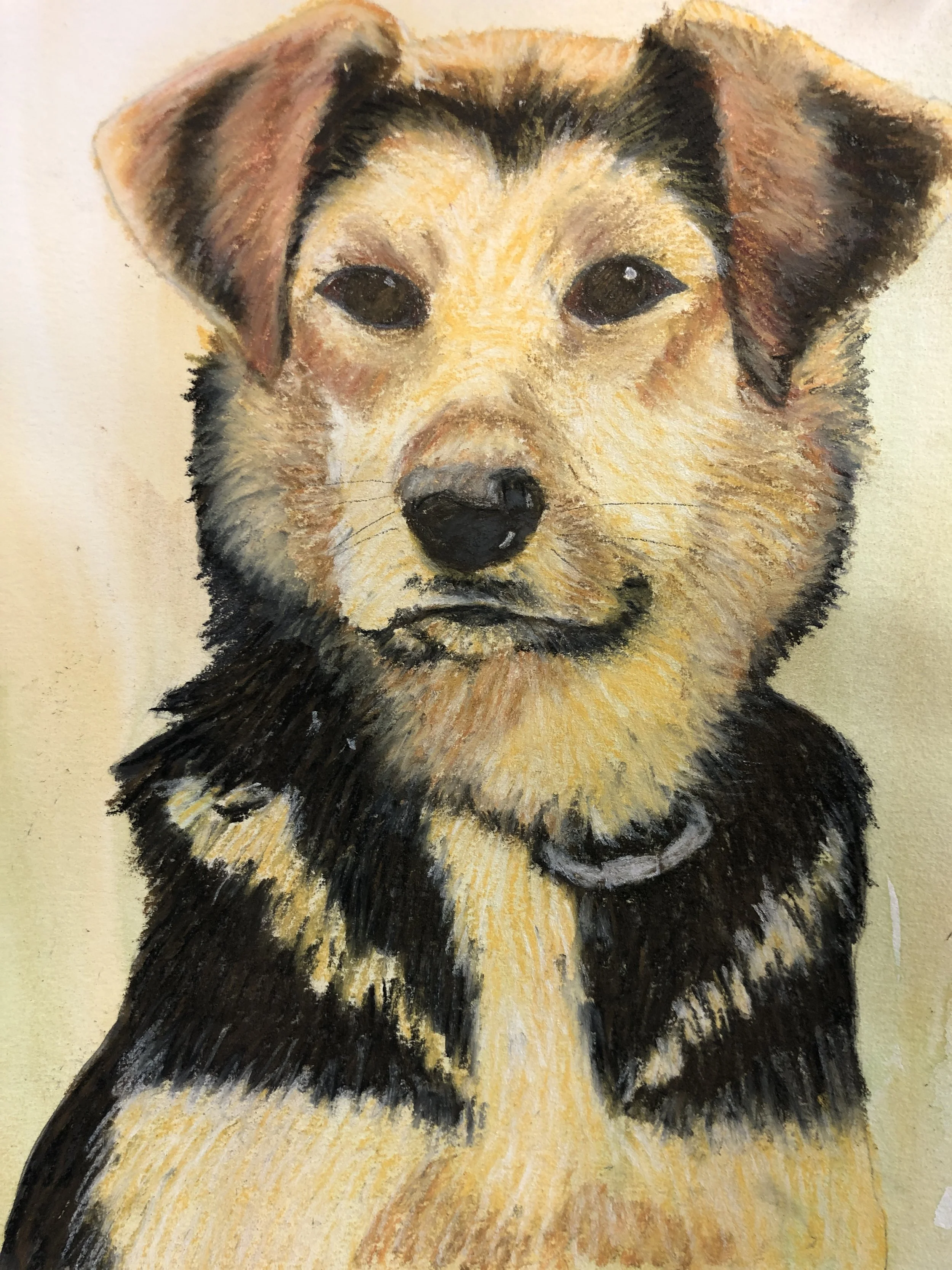 Molly 8.5 x 11 unframed $250