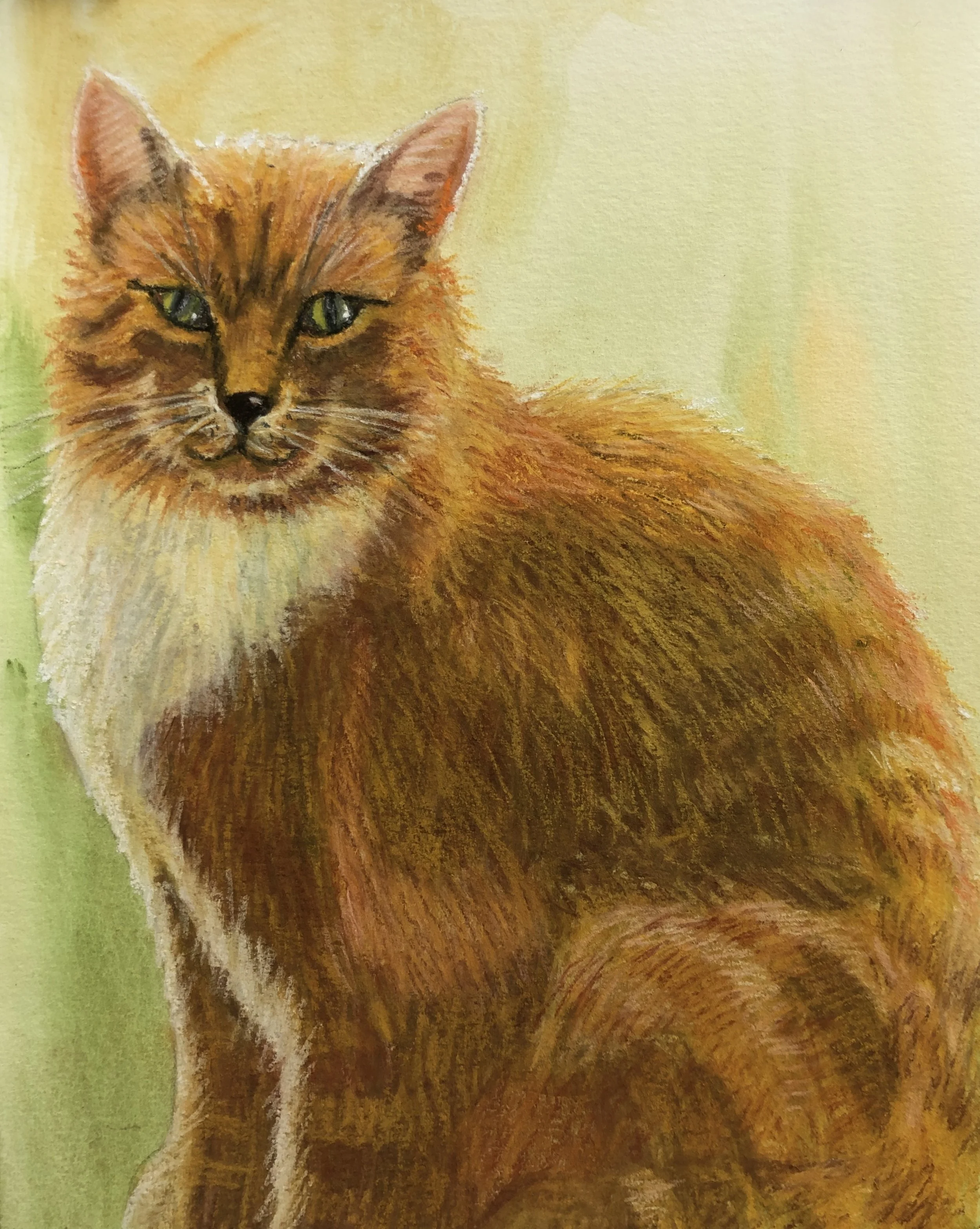 Ginger 8.5 x 11 unframed $250