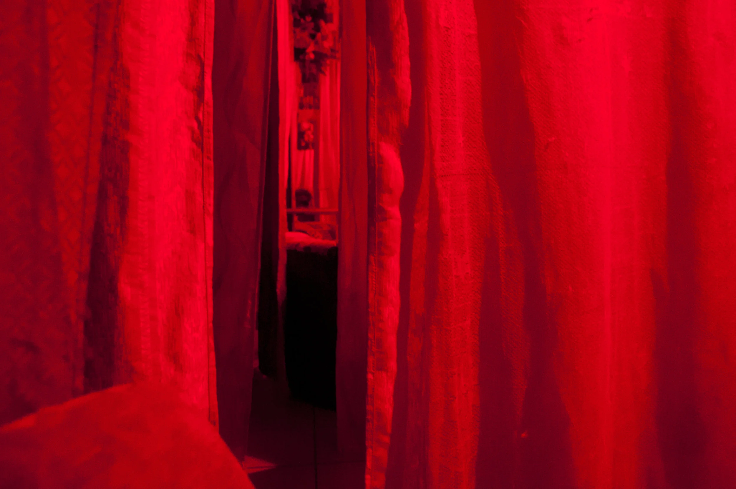 DSC_0294.jpg