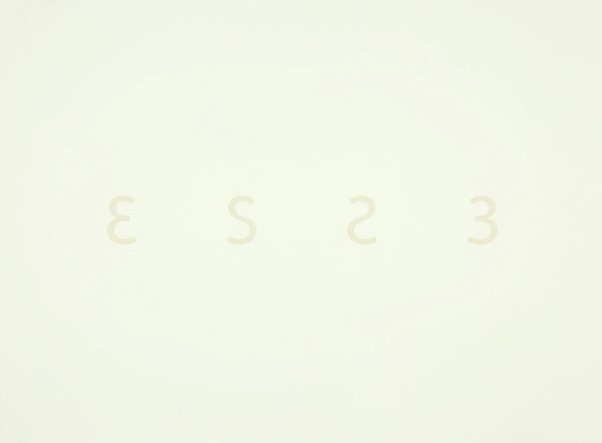 ESSE, 2008, inkjet print on paper, 22 x 30 in.