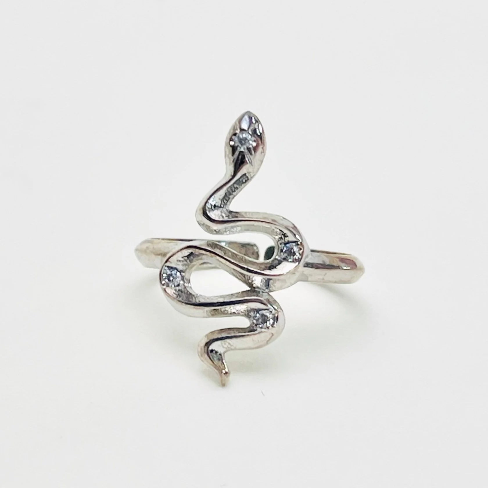 The Silver Snake Ring
