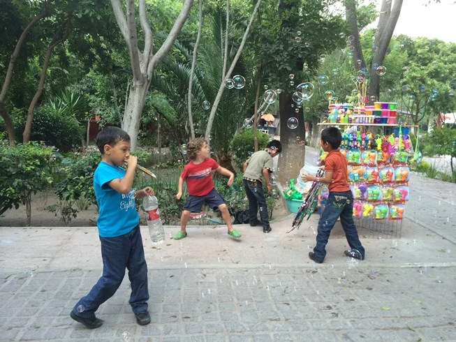 There's always something for sale on the streets and parks in Mexico!
