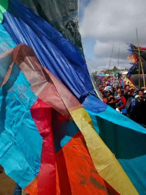 A view of the back of a kite where one can see the tape and feel that it really is regular tissue paper.