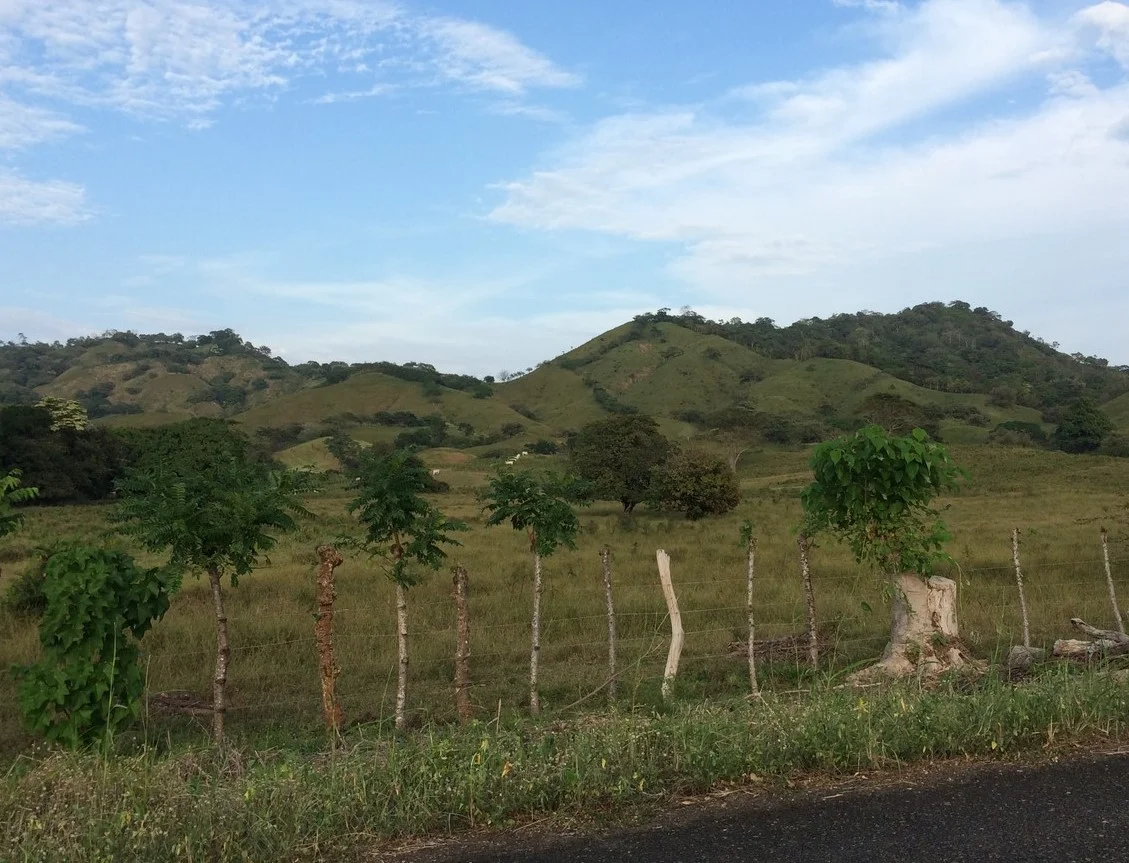 Roadside scenery in panama on the way to Venao Cove