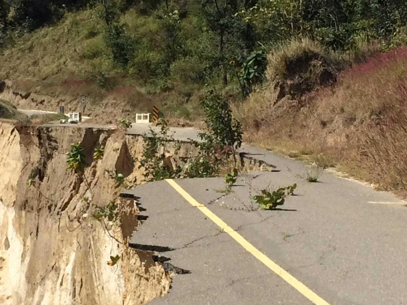 One Wrong Turn and a Lot of Surprises