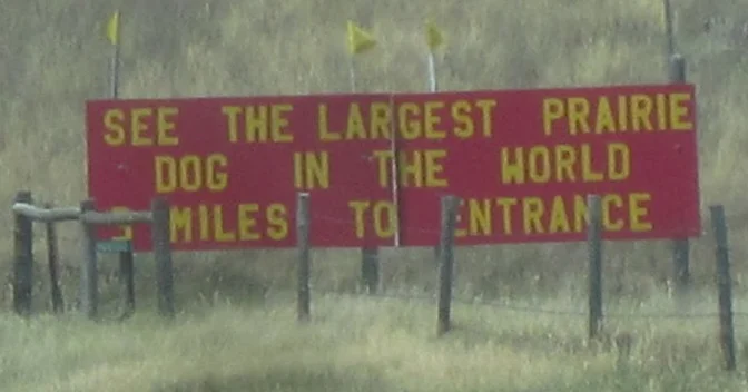 Pitstop at a Roadside Zoo