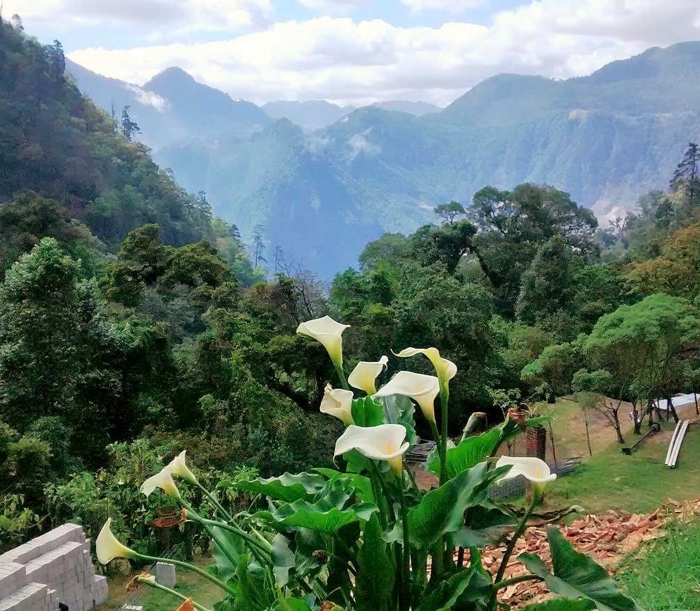 The views from Las Fuentes Georinas are stunning